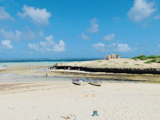 a beach with boats and people