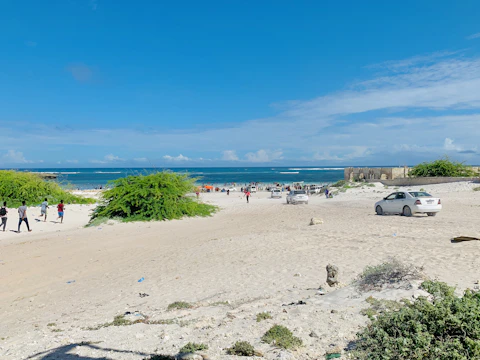 a beach with people and cars