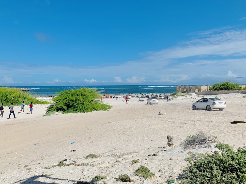 Una playa con gente y coches