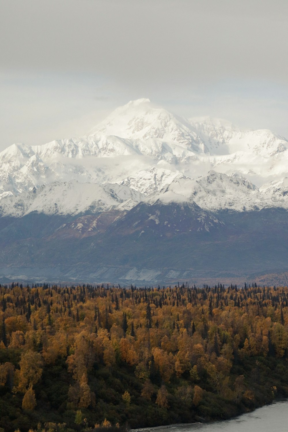 a snowy mountain with trees below