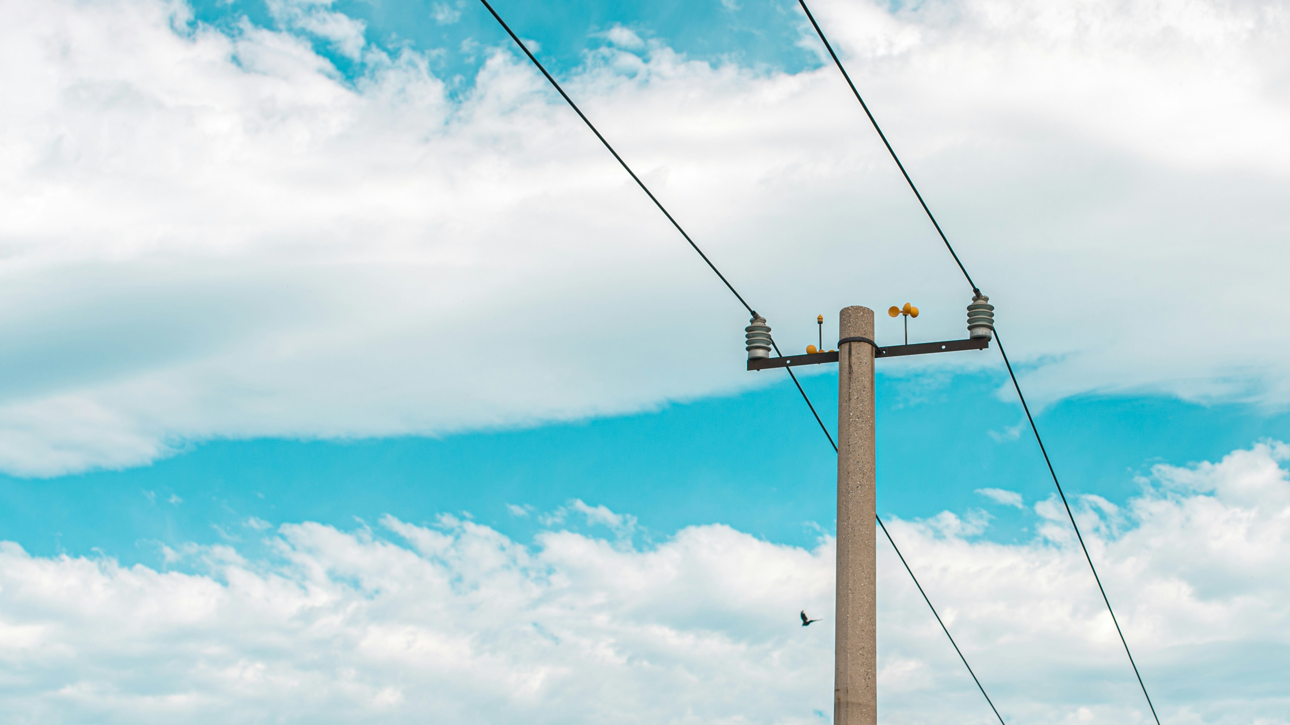 Photo by peek_a_boo_who