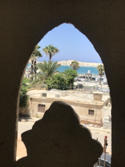 An arched window frame reveals a view of palm trees, a body of water, and a sandy-colored building. The scene suggests a coastal environment with clear blue skies.