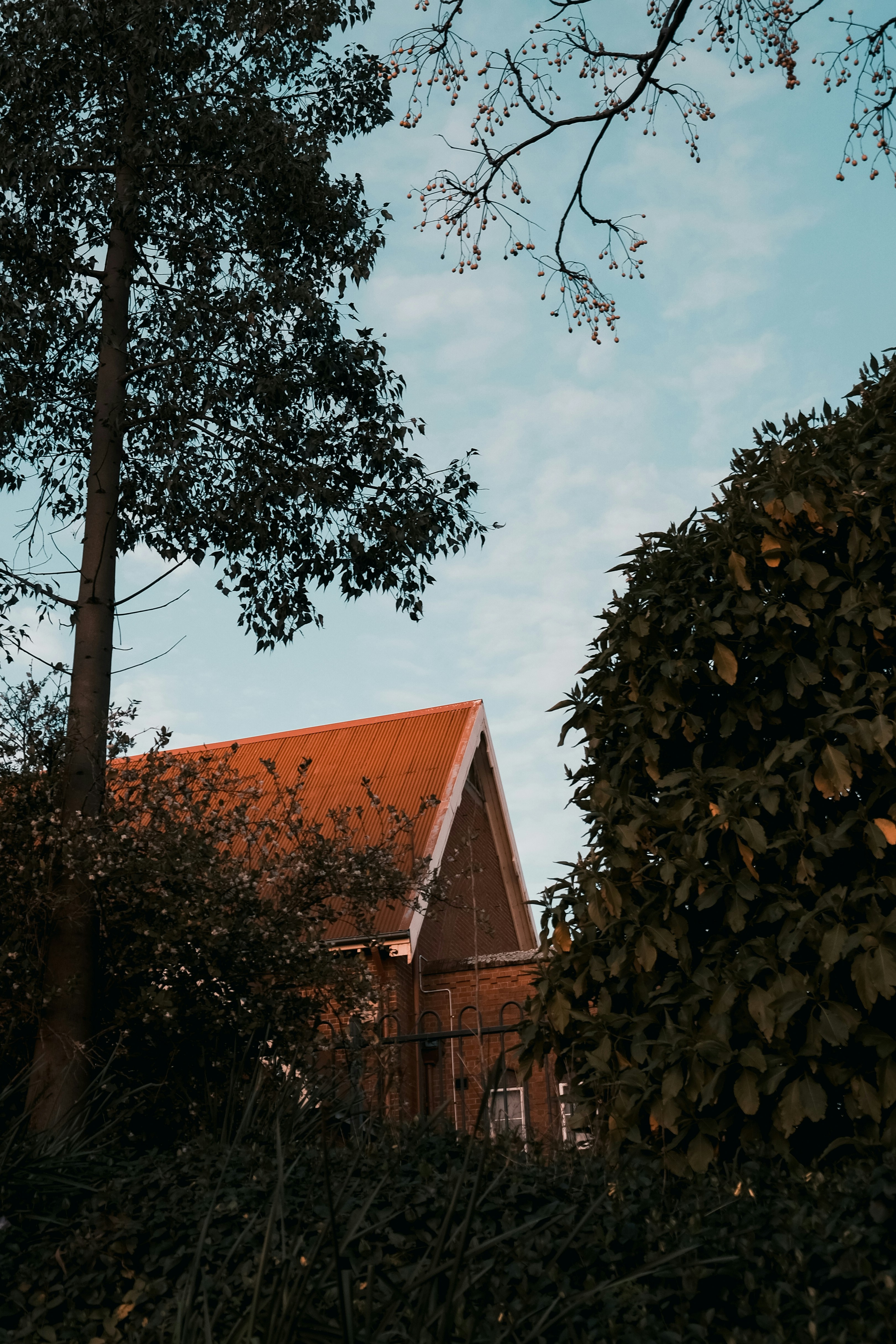 Photo by mounishraja