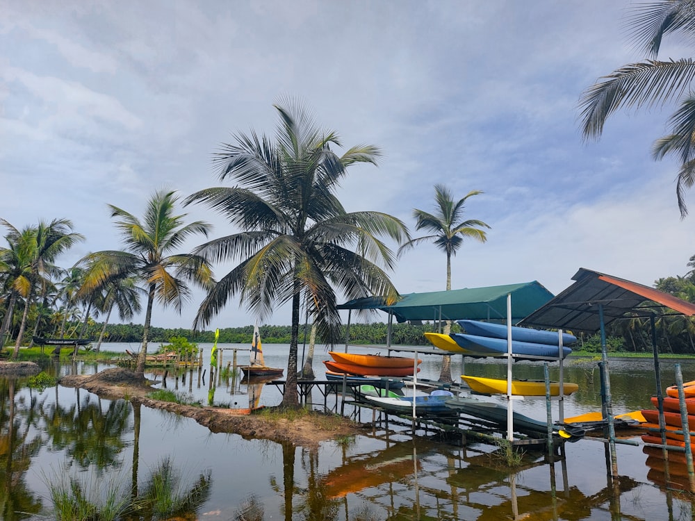 a body of water with boats and trees around it