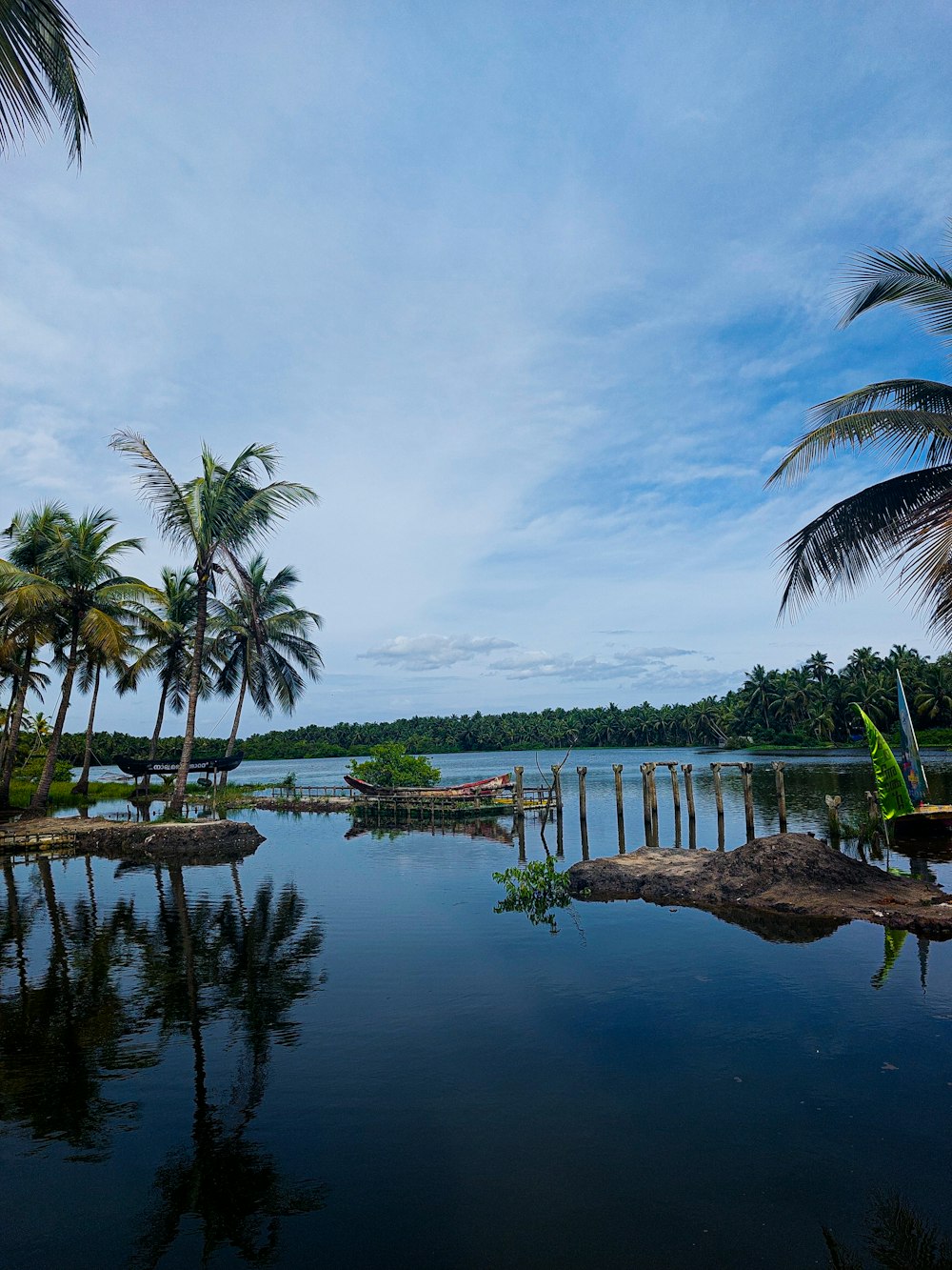 a body of water with trees around it