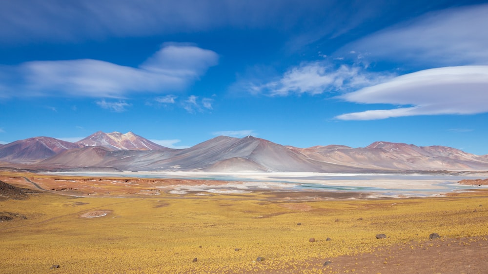 a large desert landscape