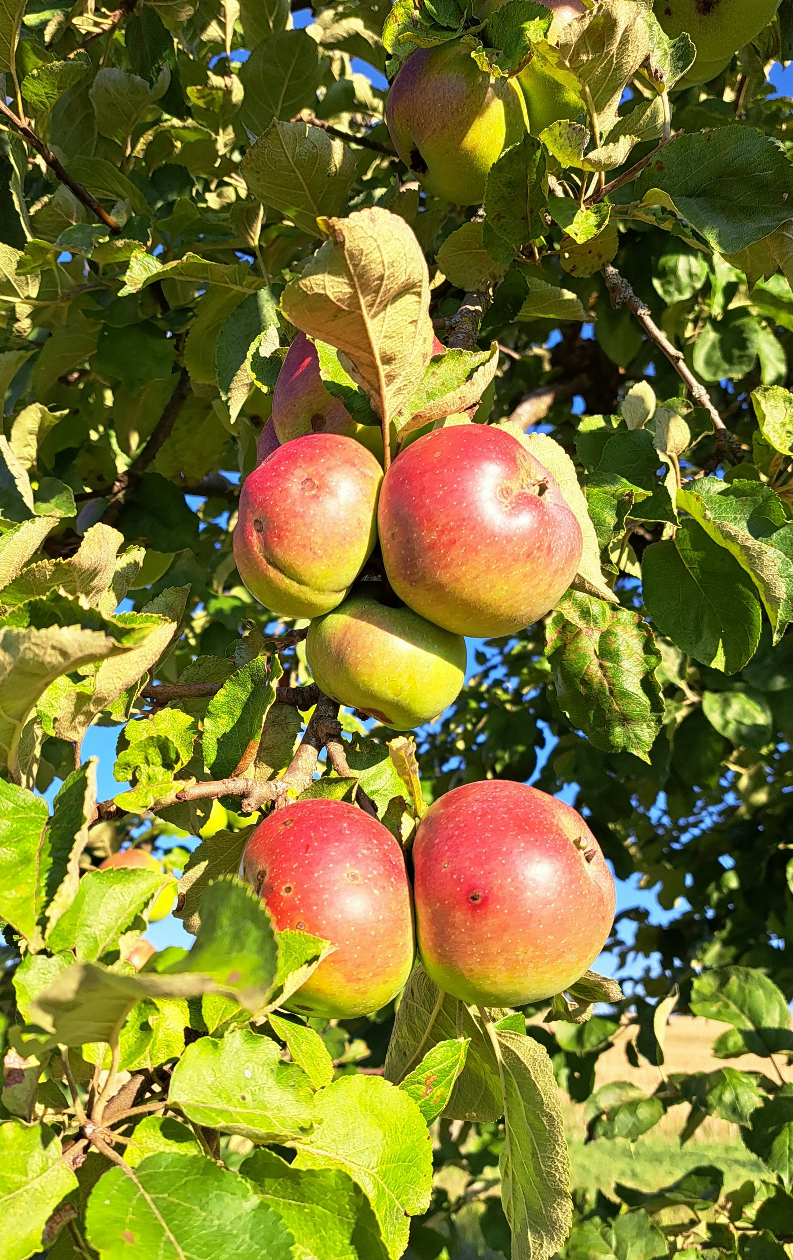 Photo by schreibmich