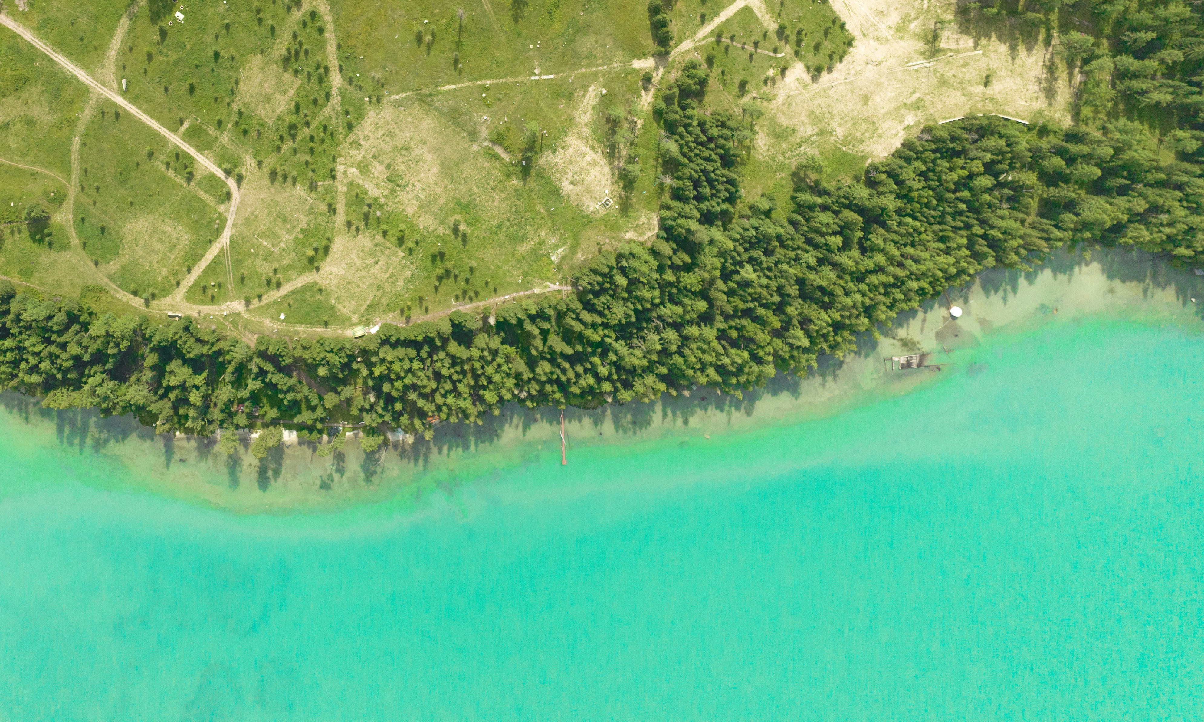 Photo by juniperphoton