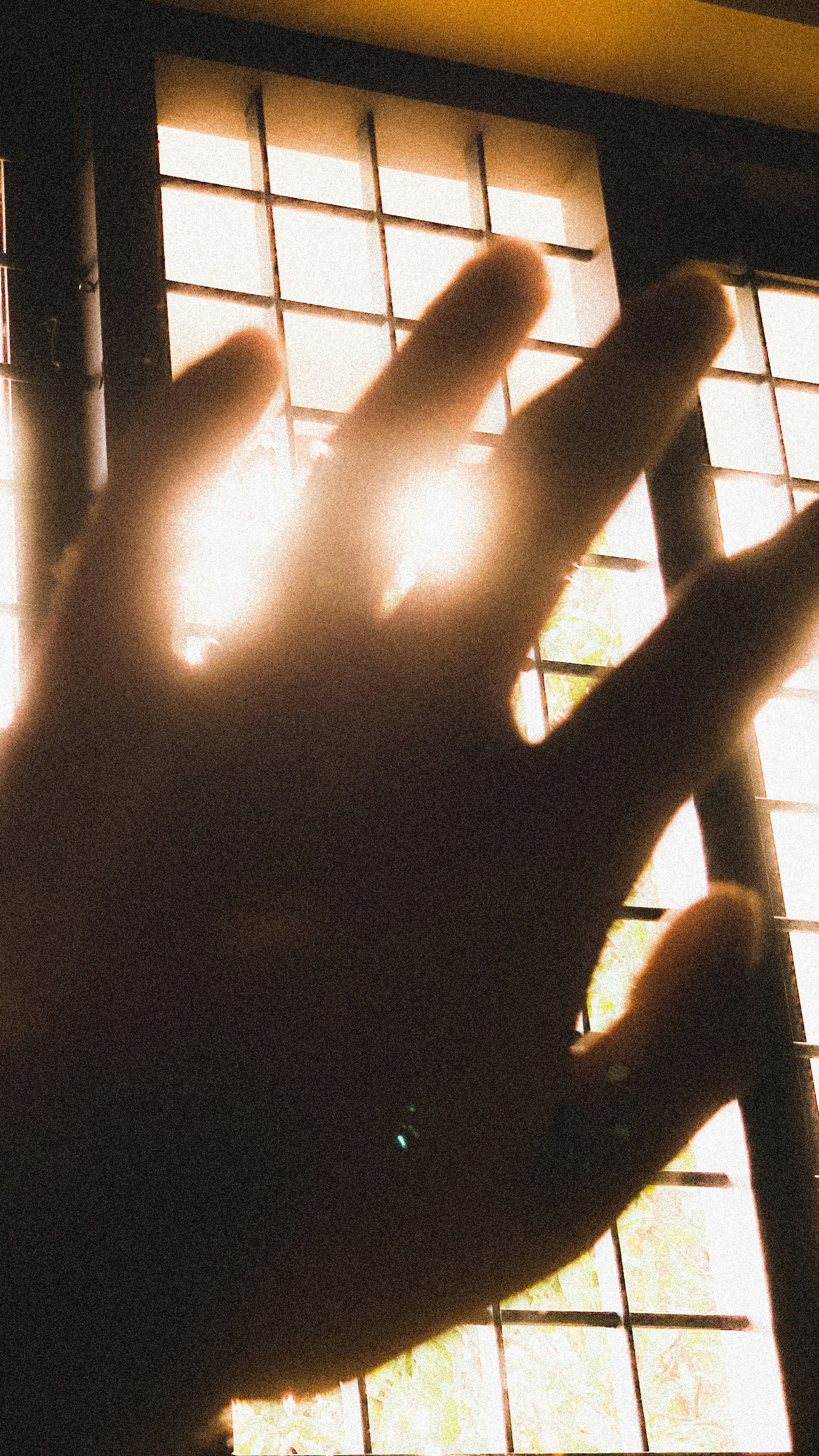 a person holding a fish