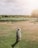 Bride and groom smiling under a wooden arch surrounded by sunflowers at the vineyard farm venue.