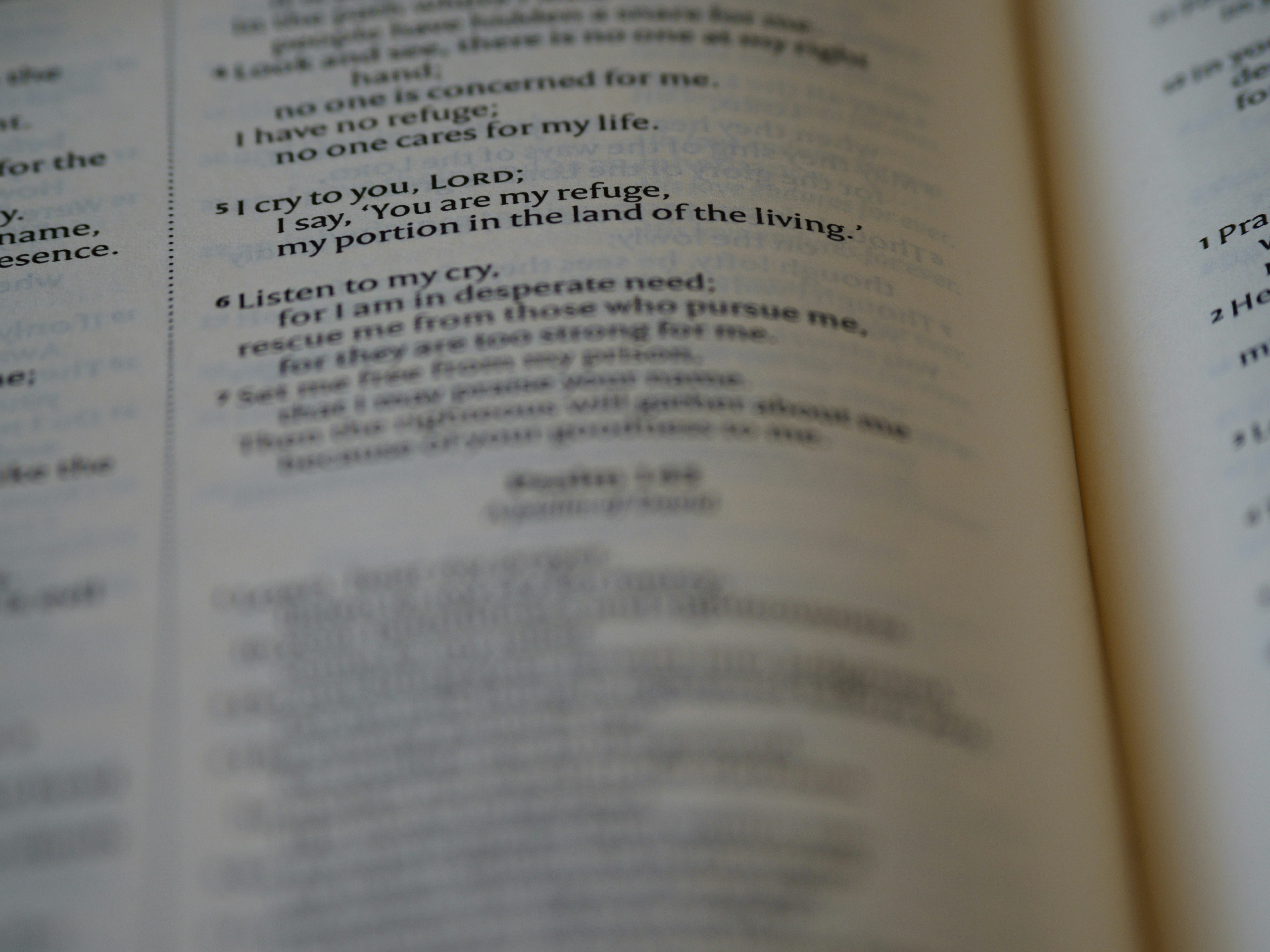 Photo by brett_jordan