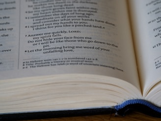An open book with visible text on the pages. The focus is on two pages, with the left page showing a highlighted passage of text. The book is held open by the spine, and the page edges are visible.