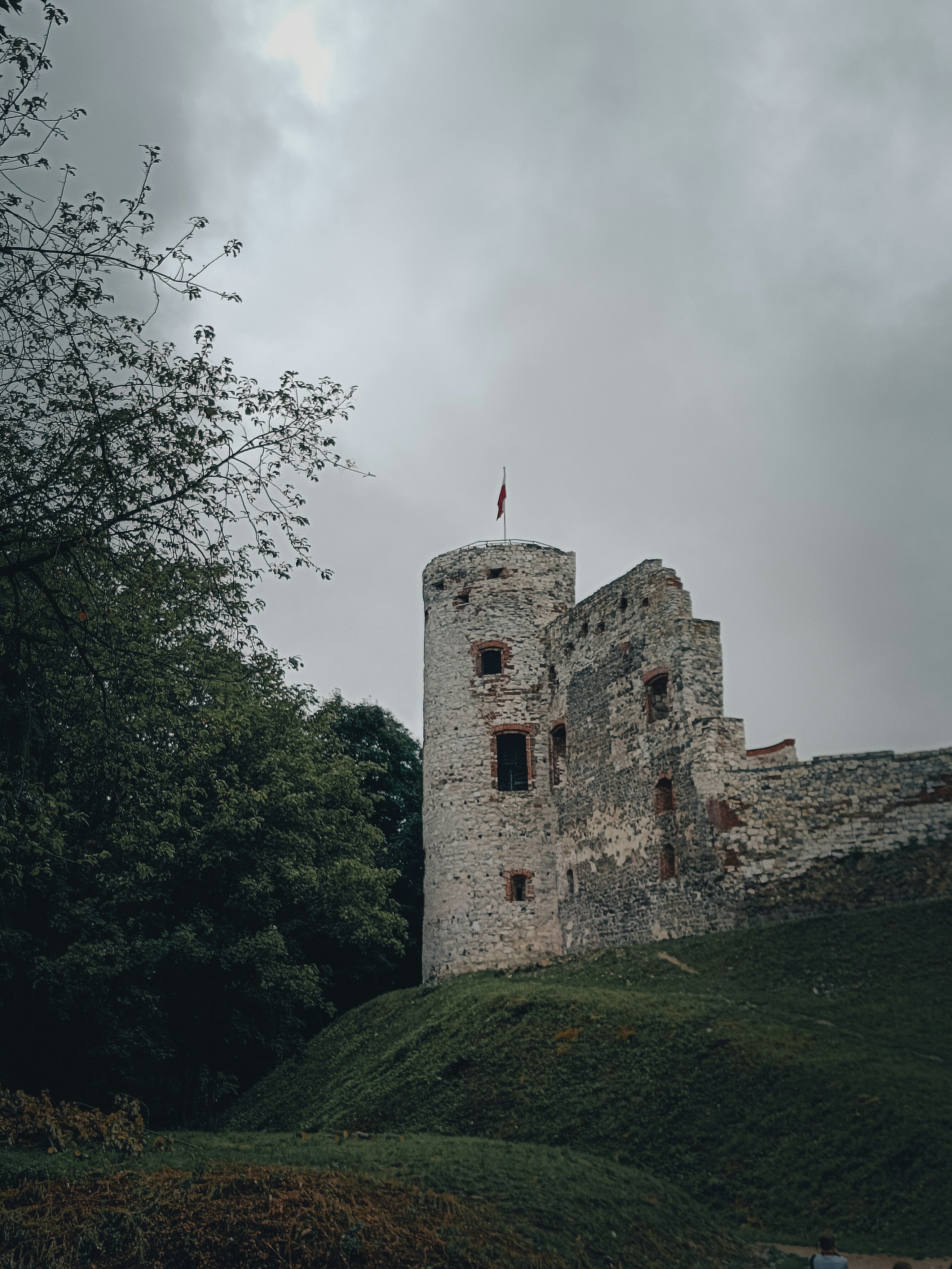 Photo by sprucejpg