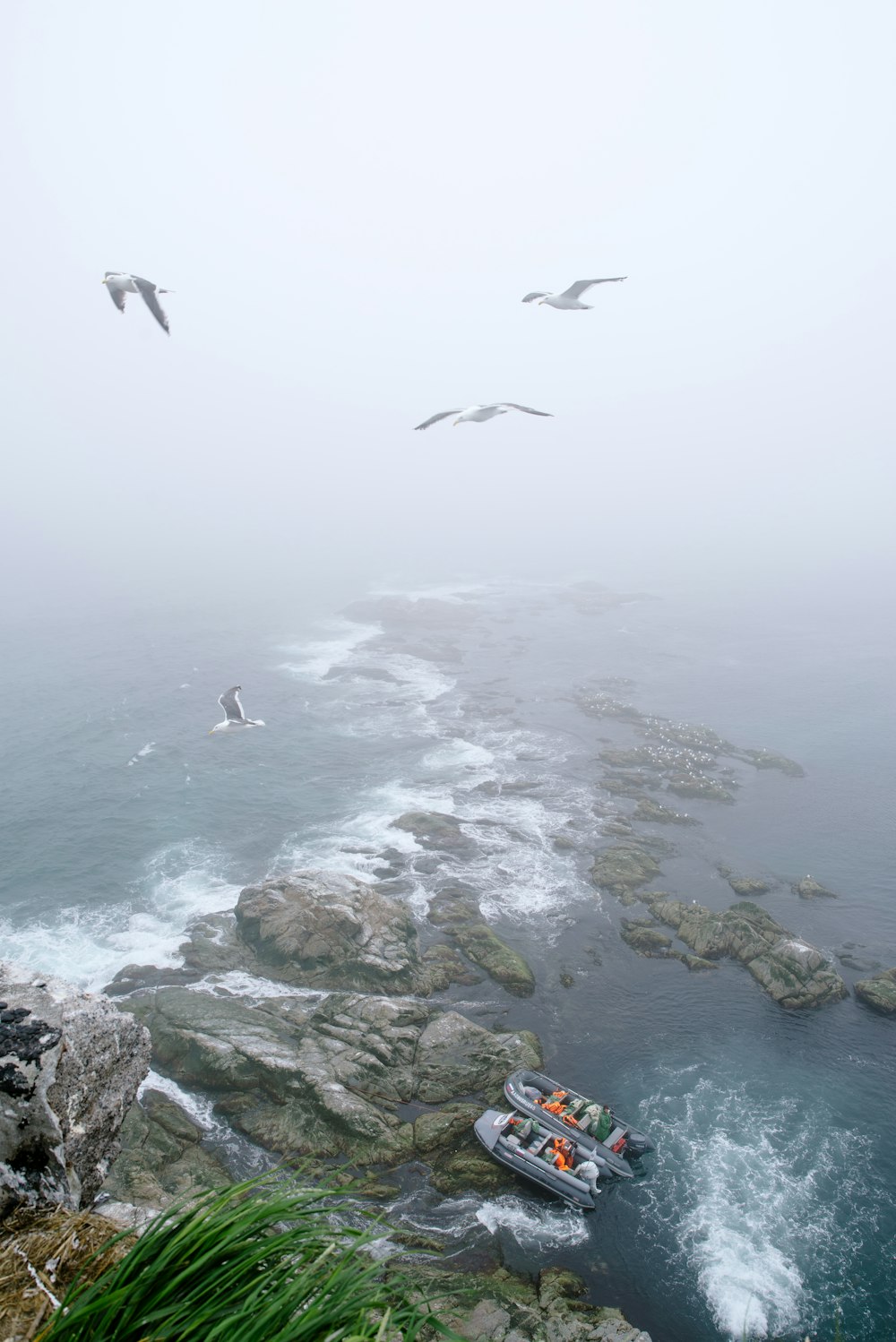 a boat in the water with birds flying around