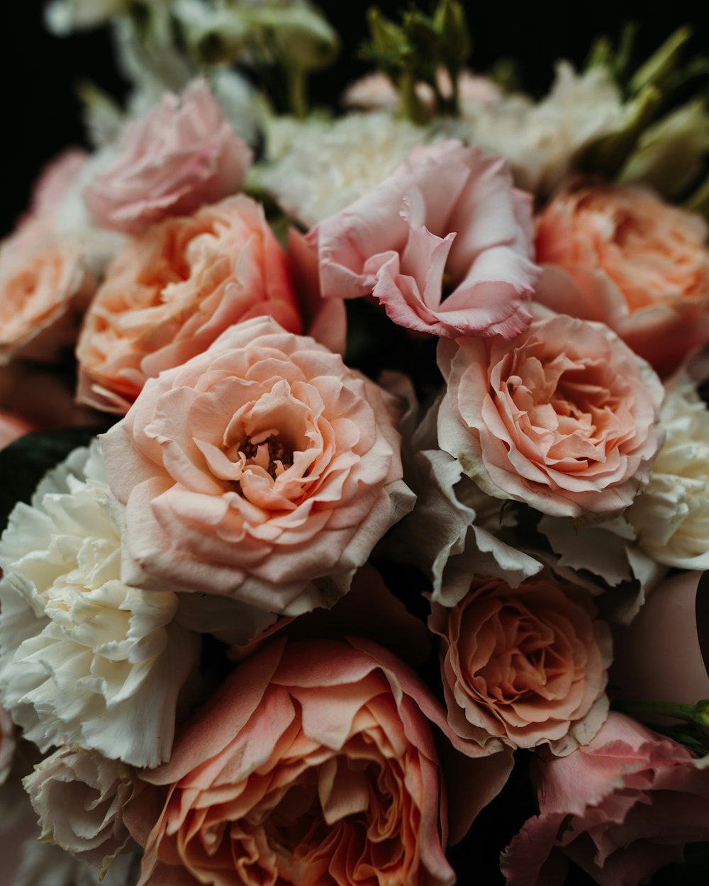 a group of pink flowers