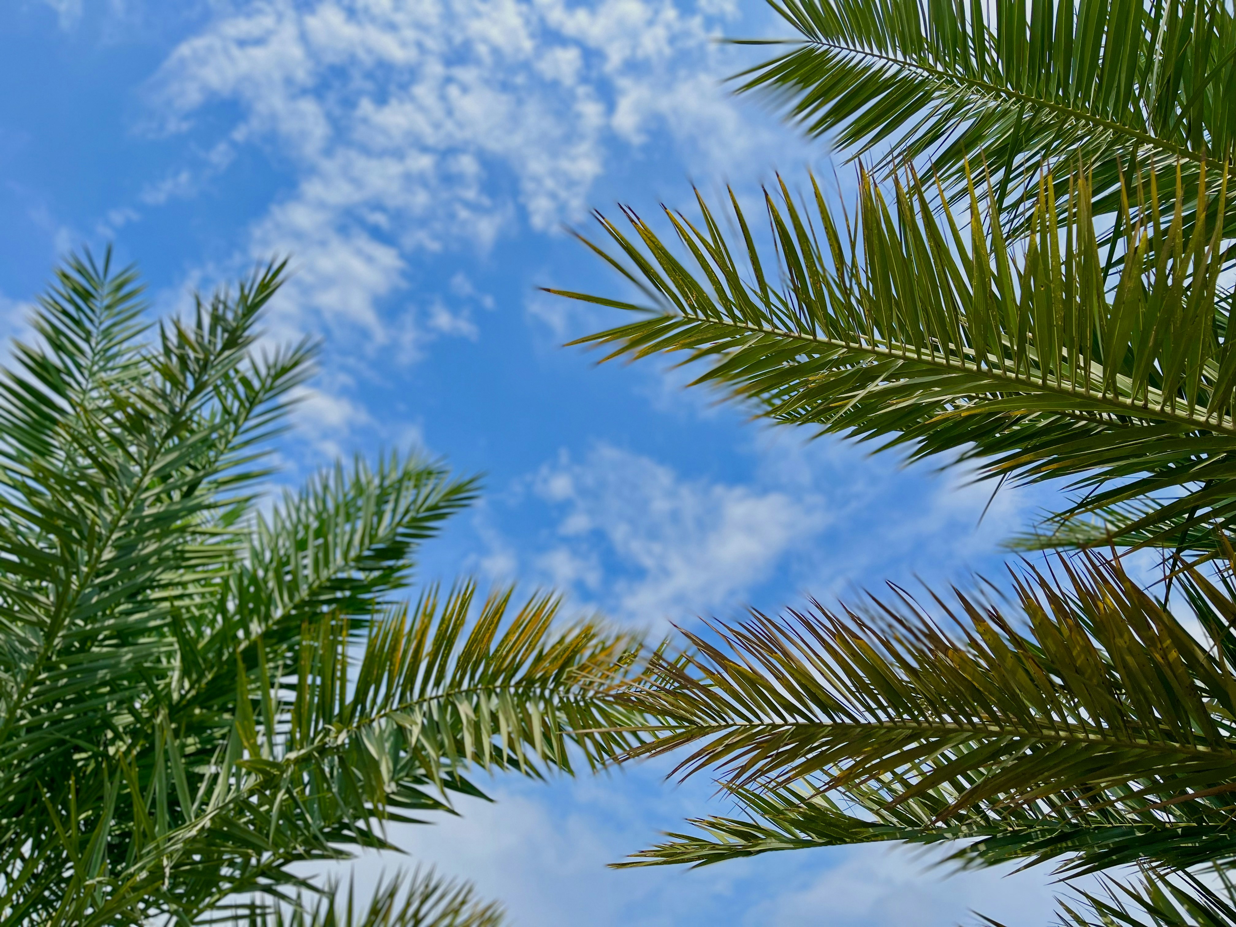 Photo by zeesha_clicks