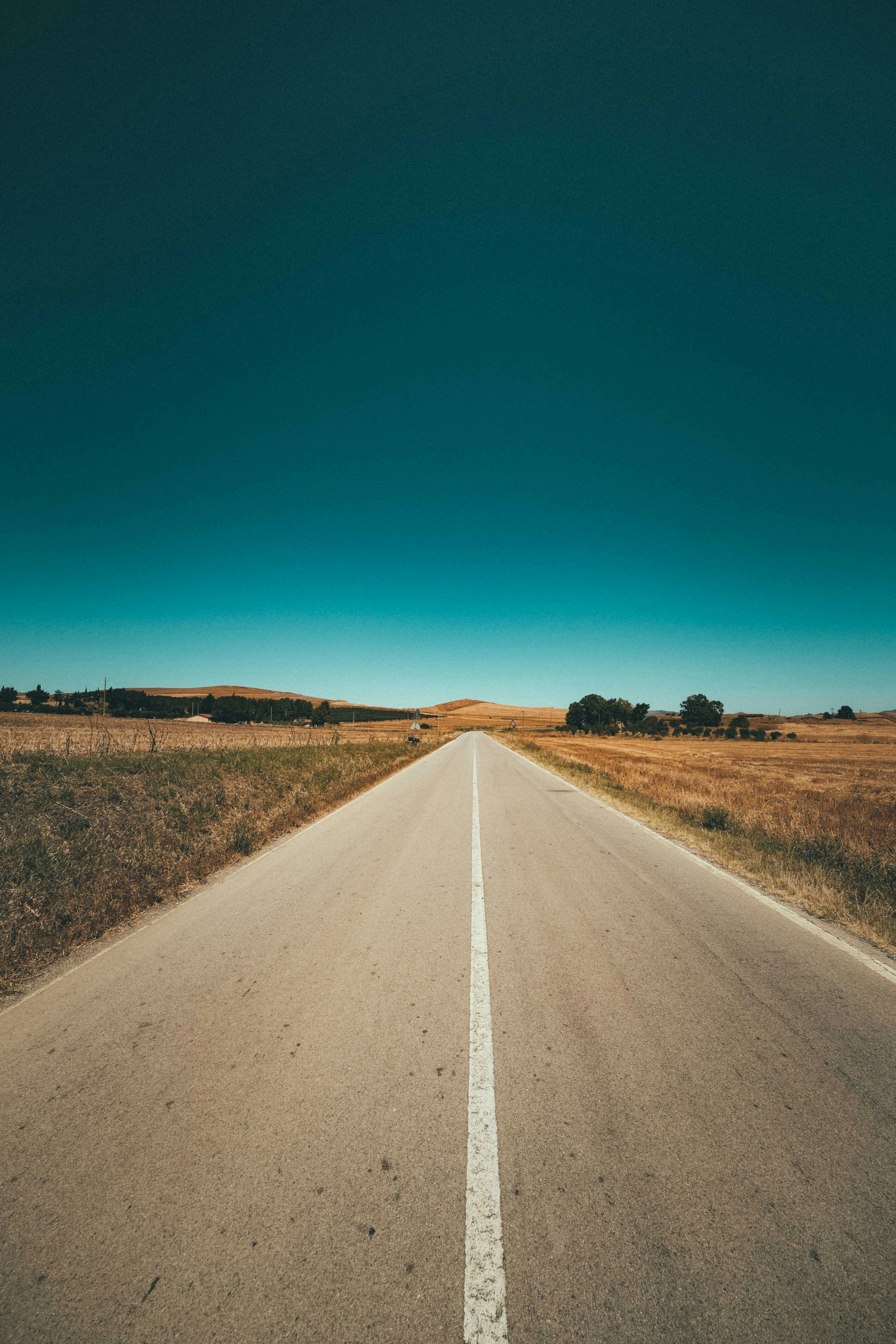 Photo by francesco_ungaro