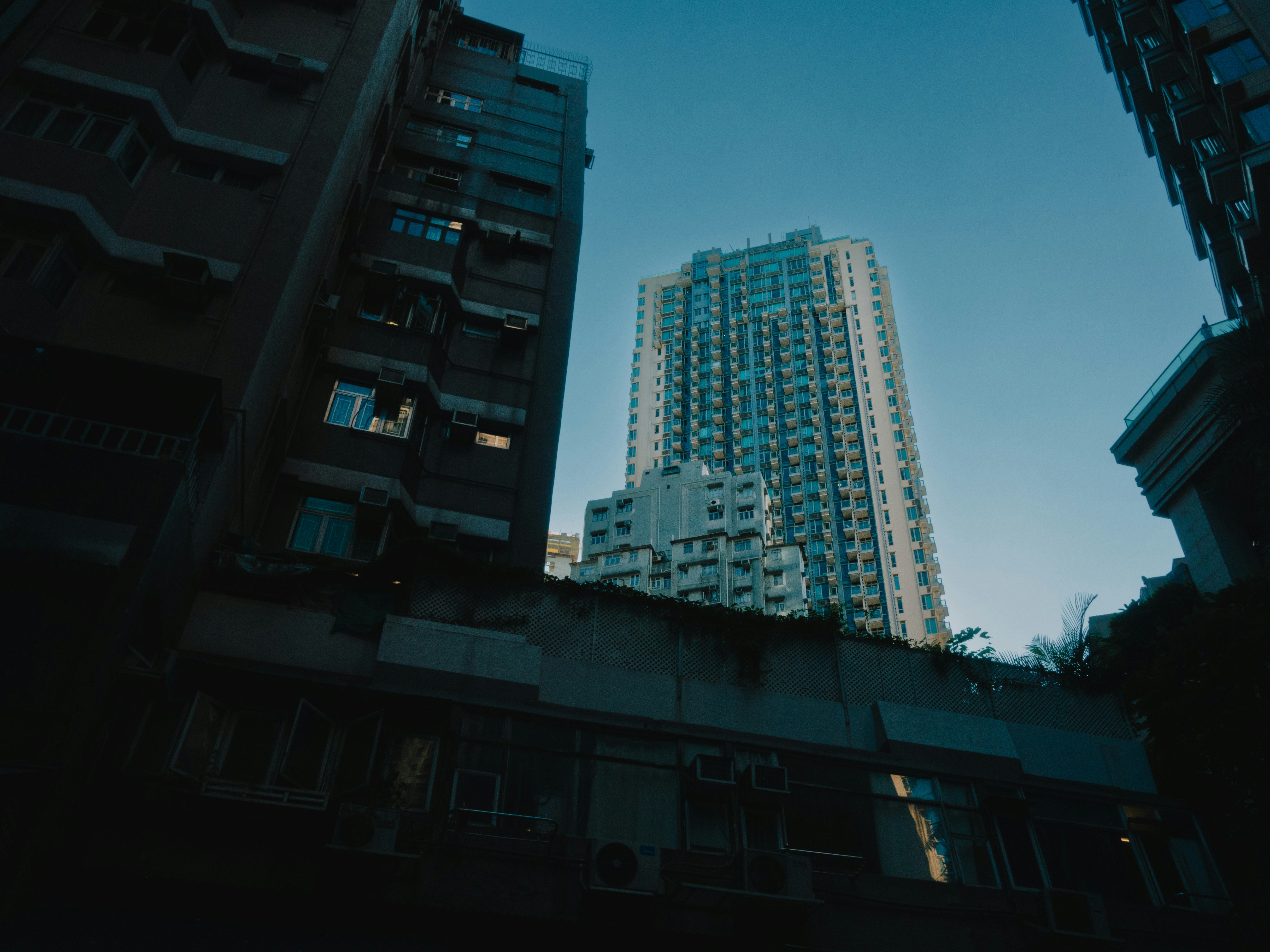 Photo by catgirlmutant