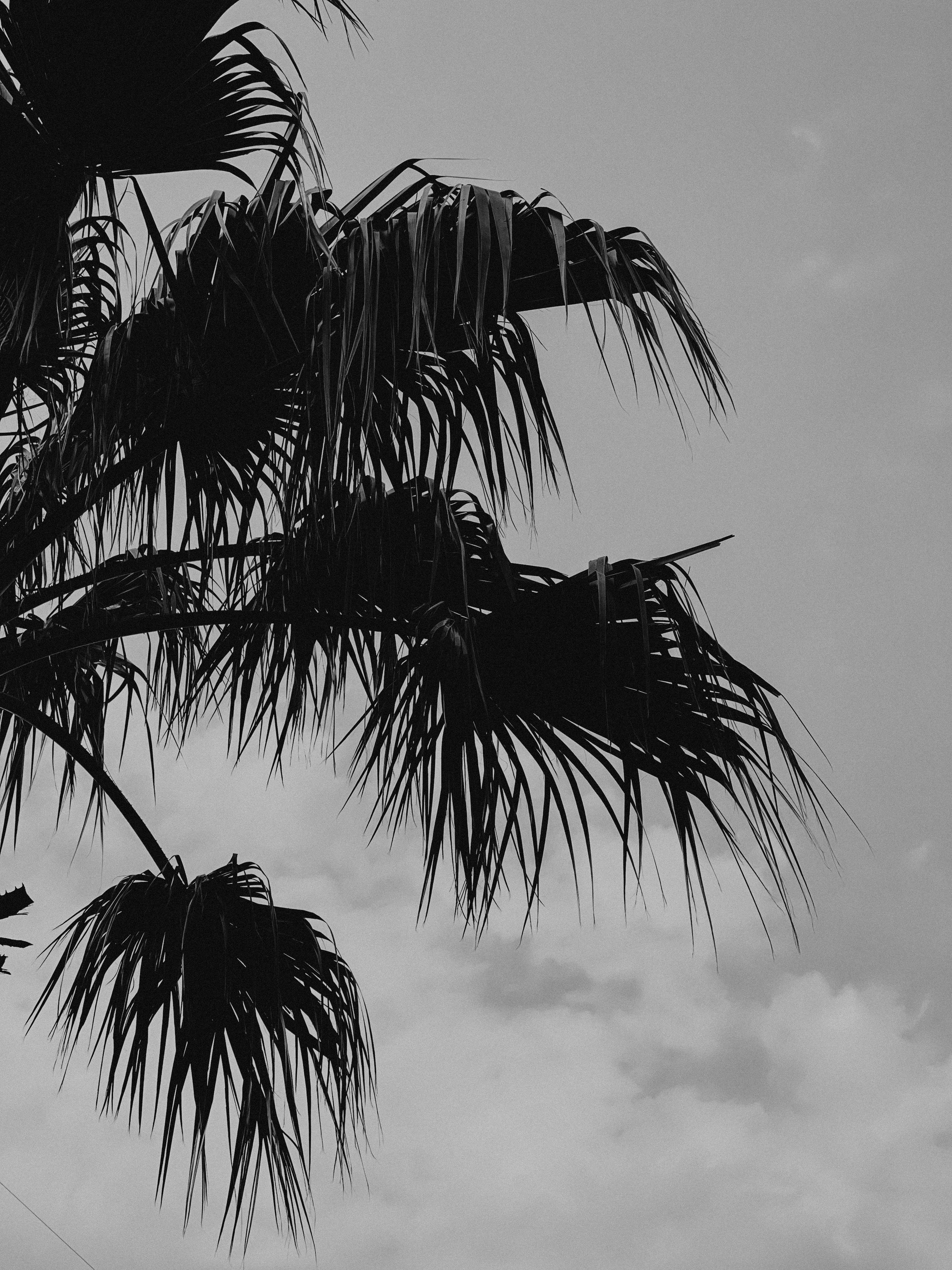 Photo by ullashinami