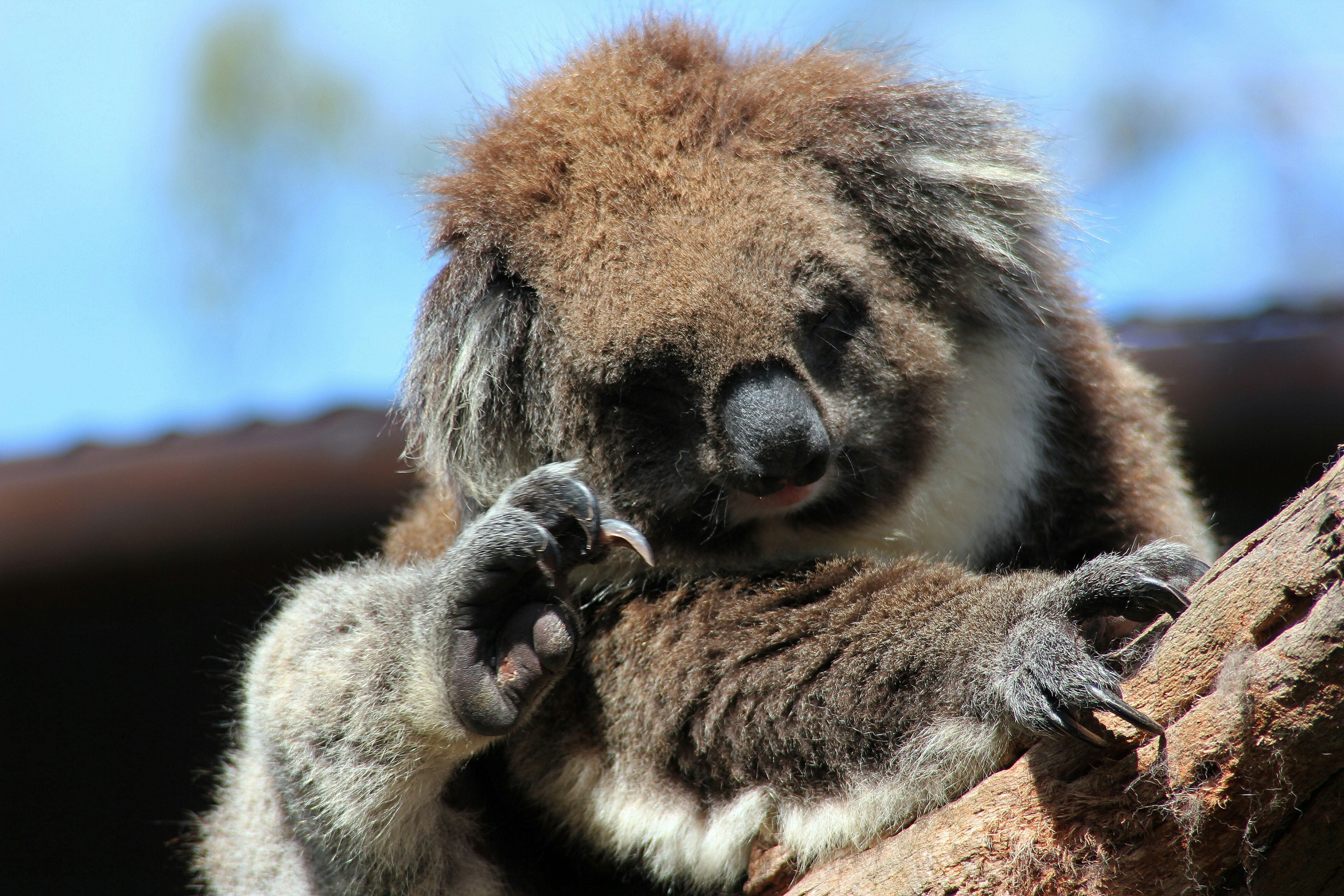 Fingerprints That Could Frame You (image credits: unsplash)