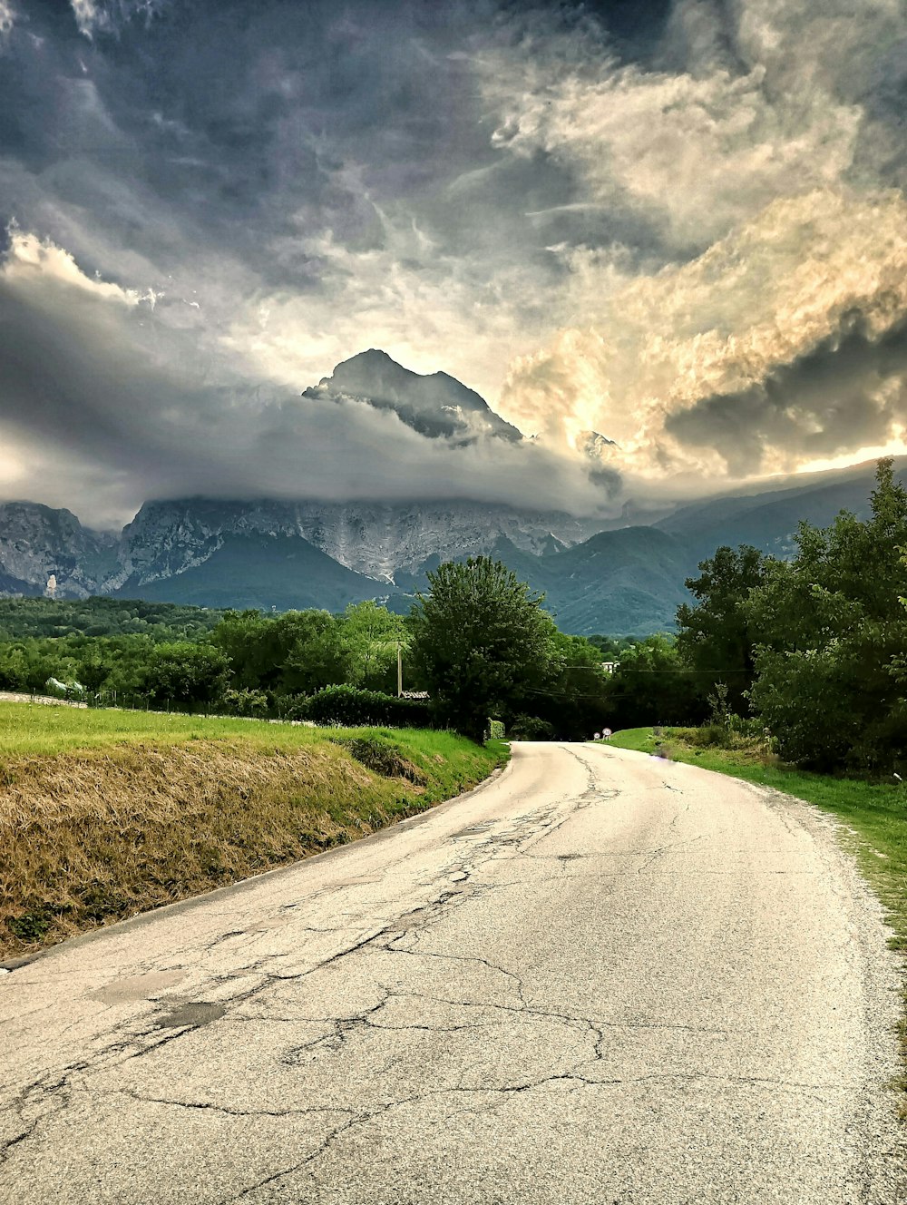 a road with trees and mountains in the background