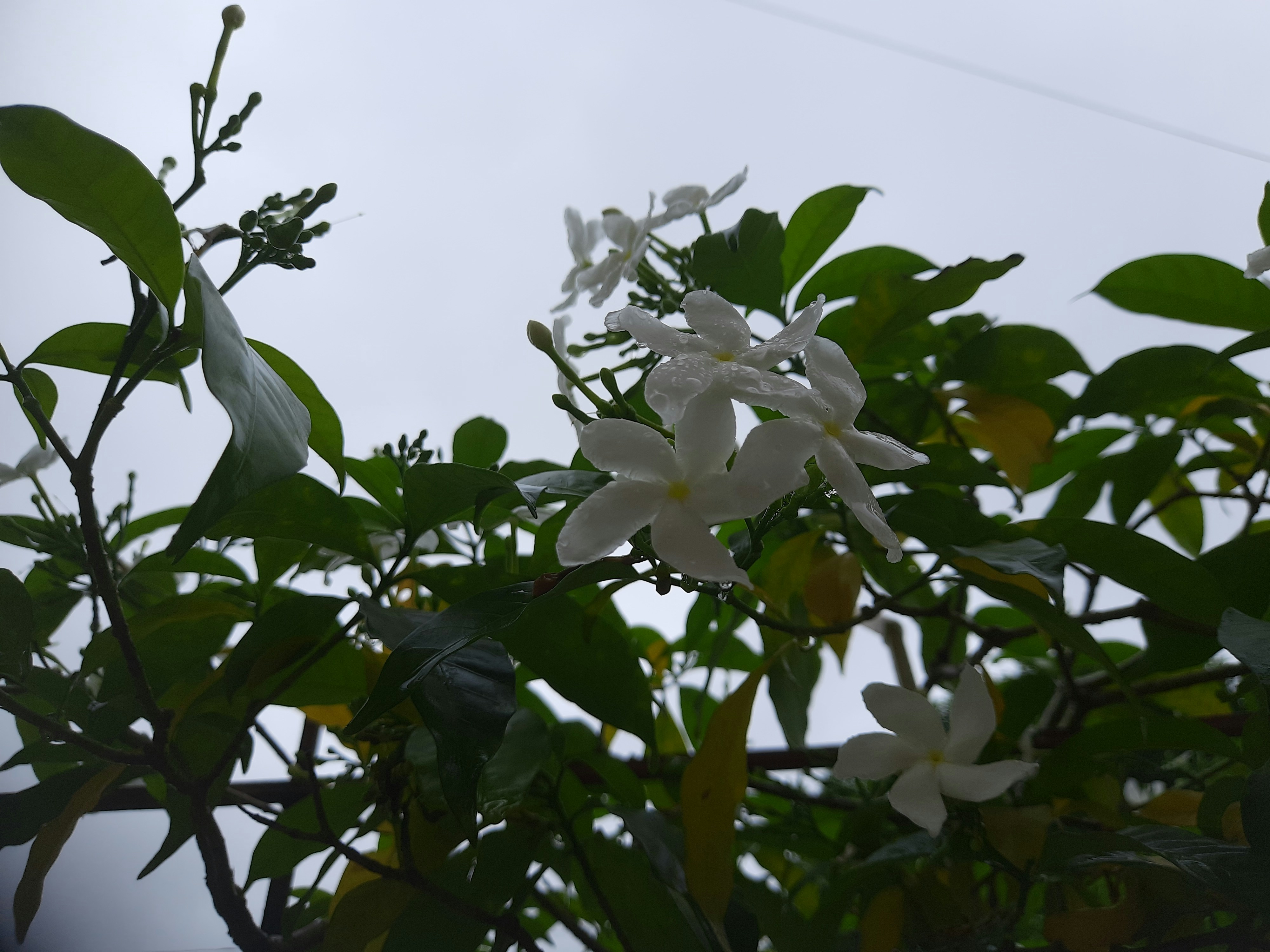 Photo by shutterbugs_3130