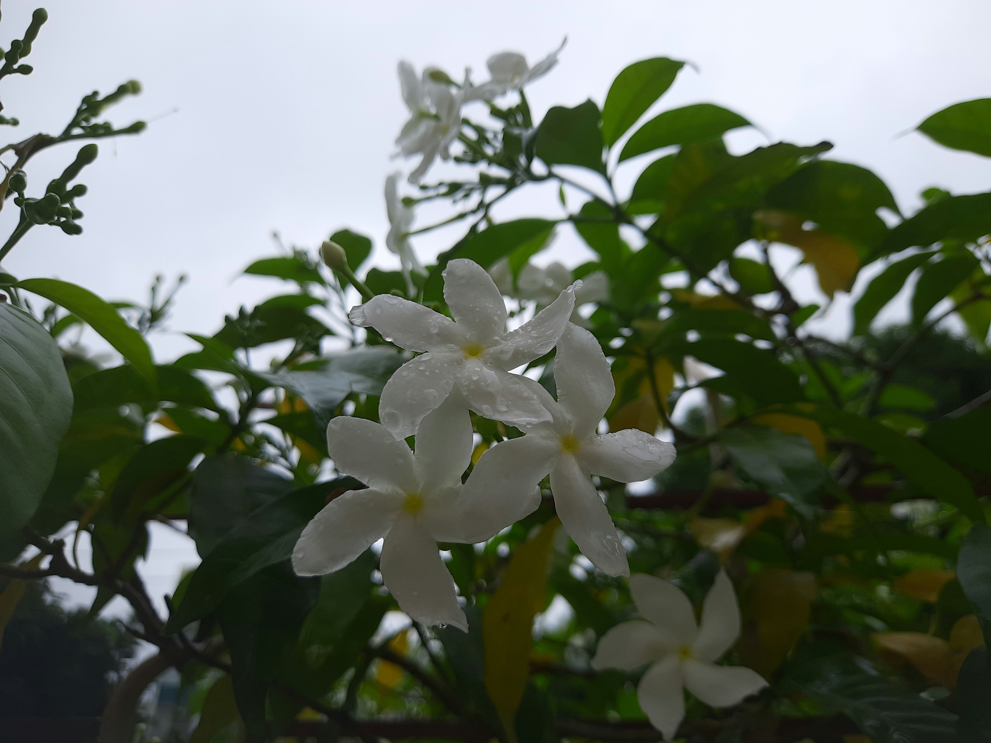 Photo by shutterbugs_3130