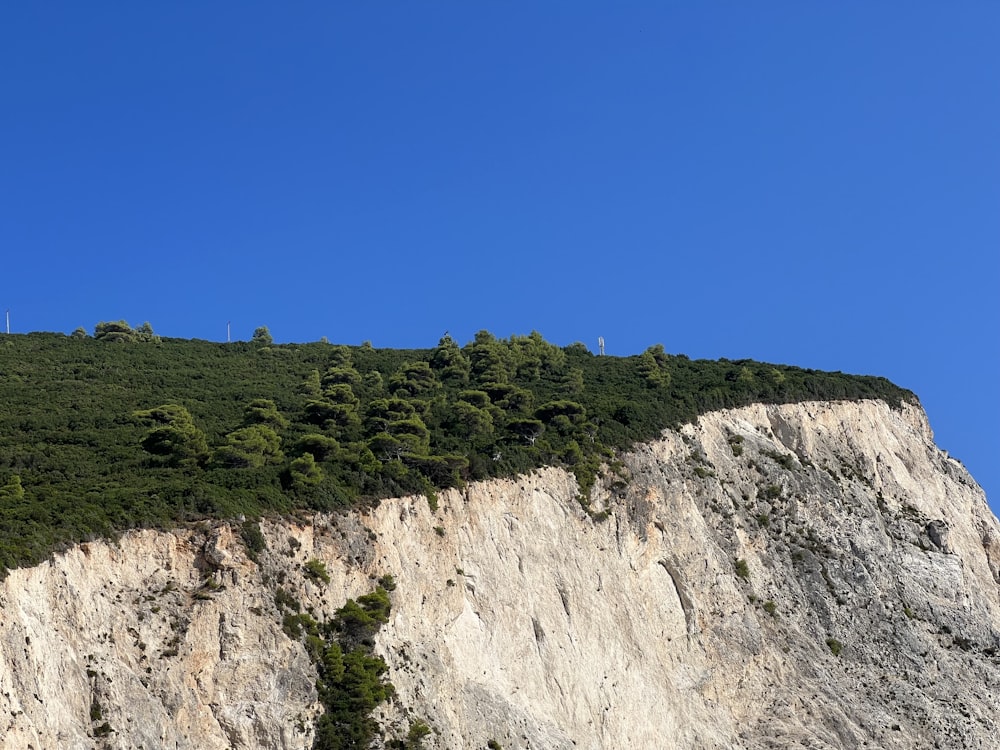 a rocky hillside with trees