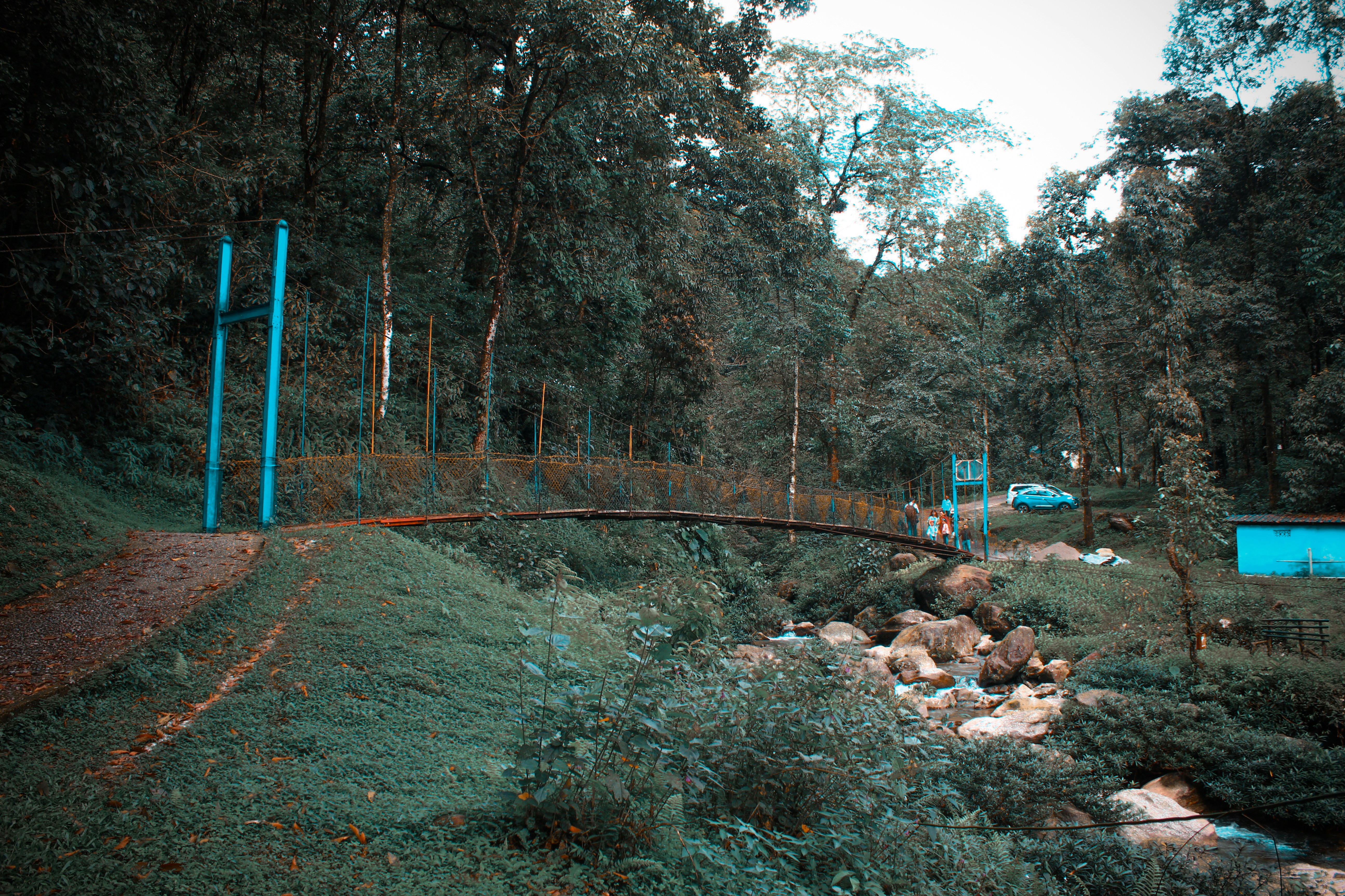 a playground with trees and rocks