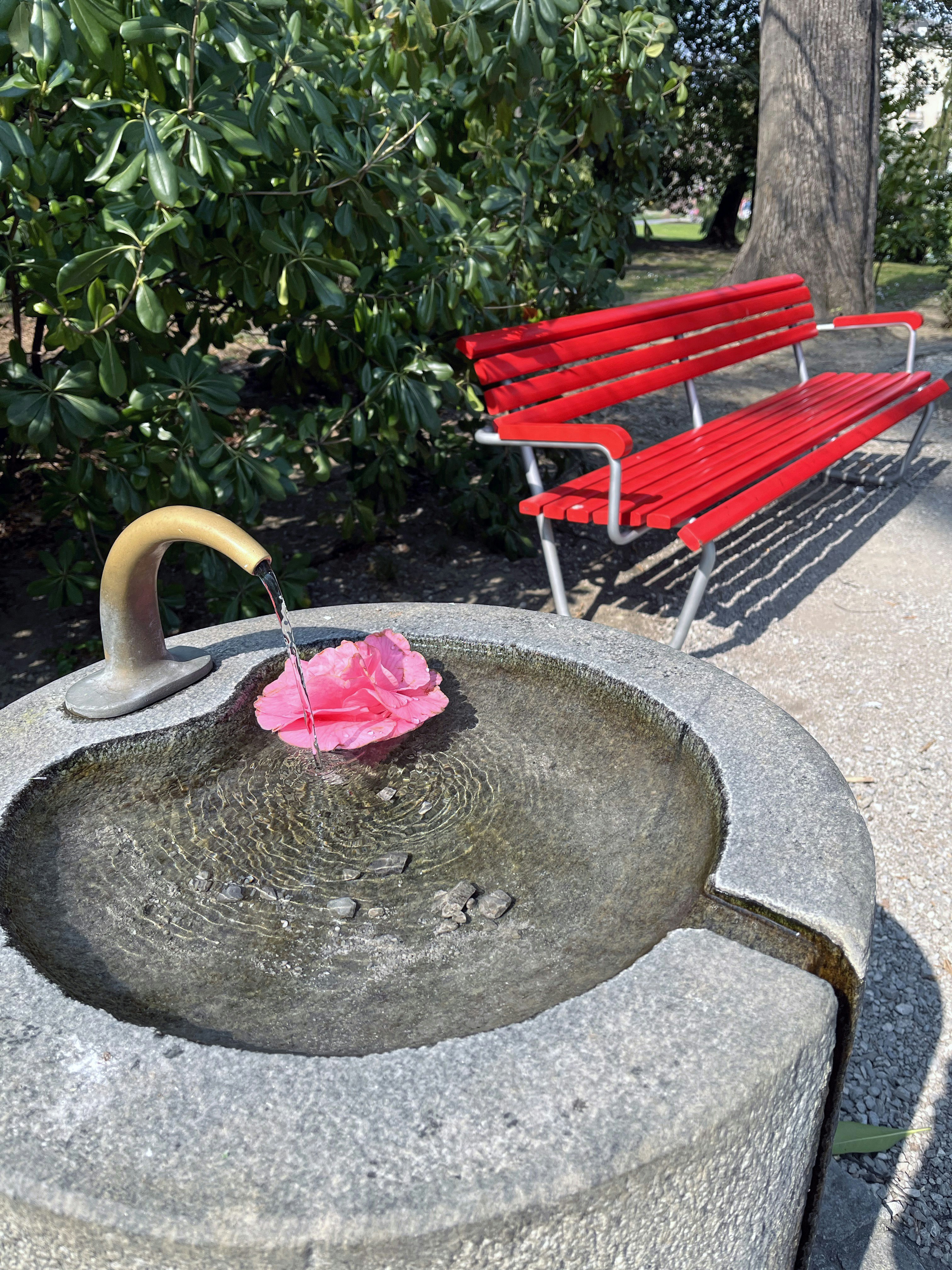 a flower is placed on a rock
