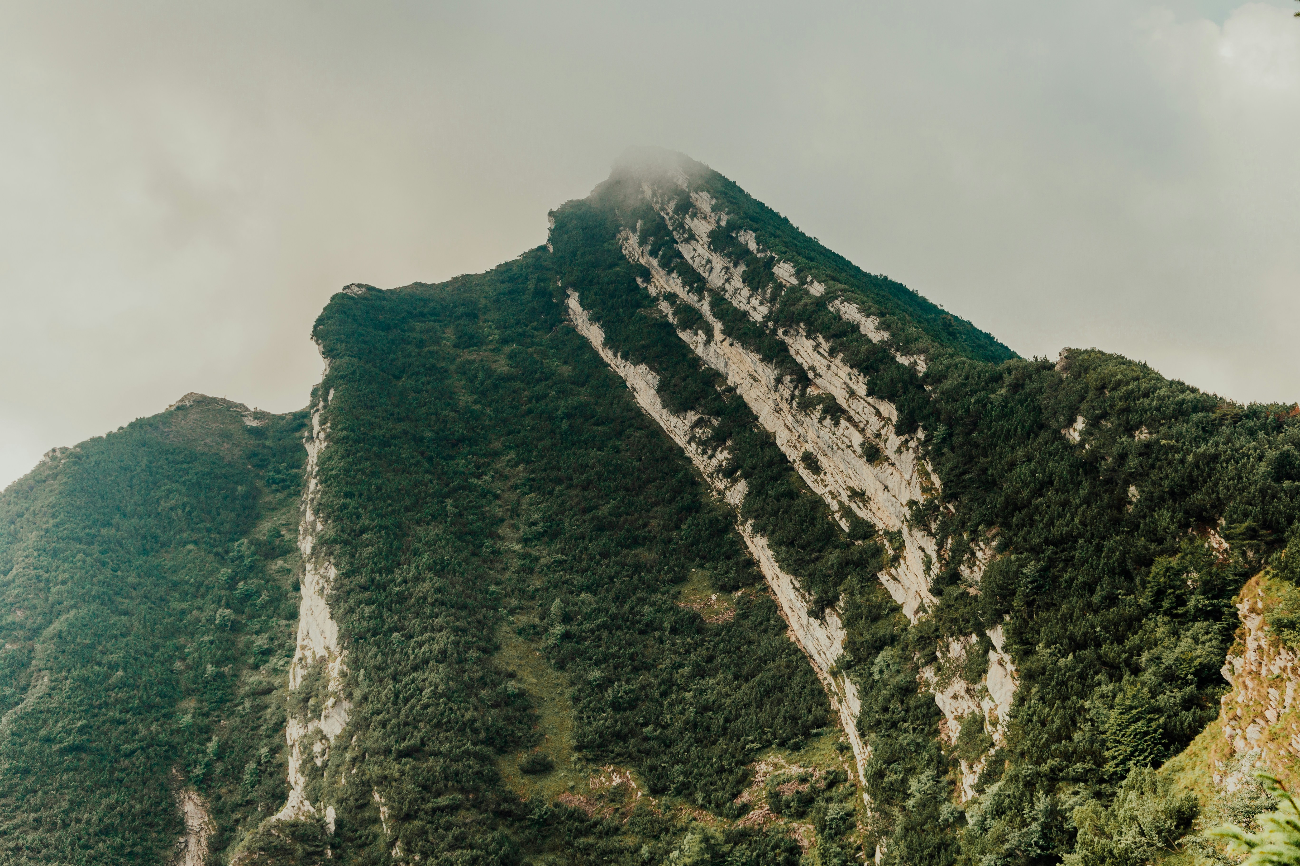 Photo by maxim_klimashin