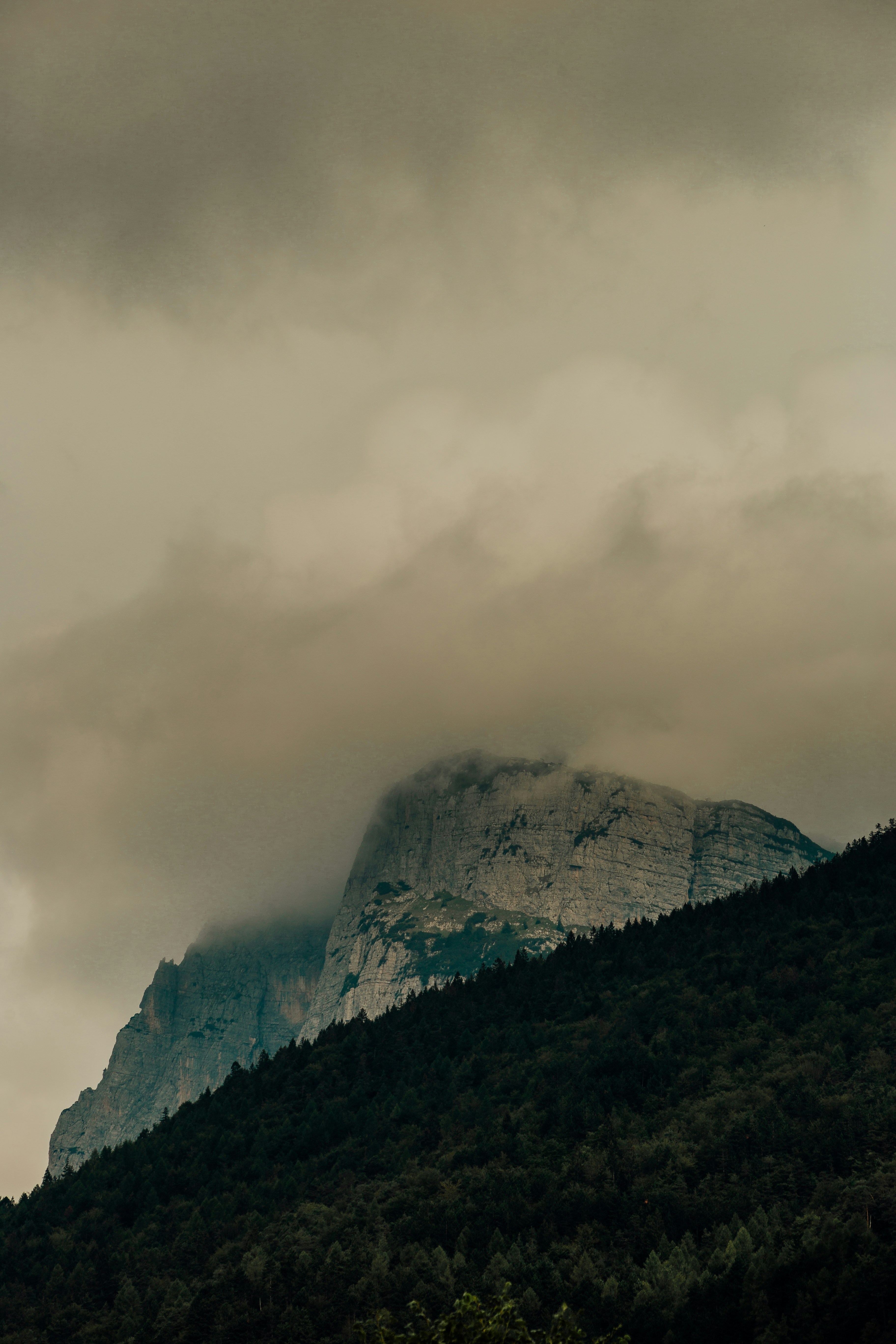 Photo by maxim_klimashin