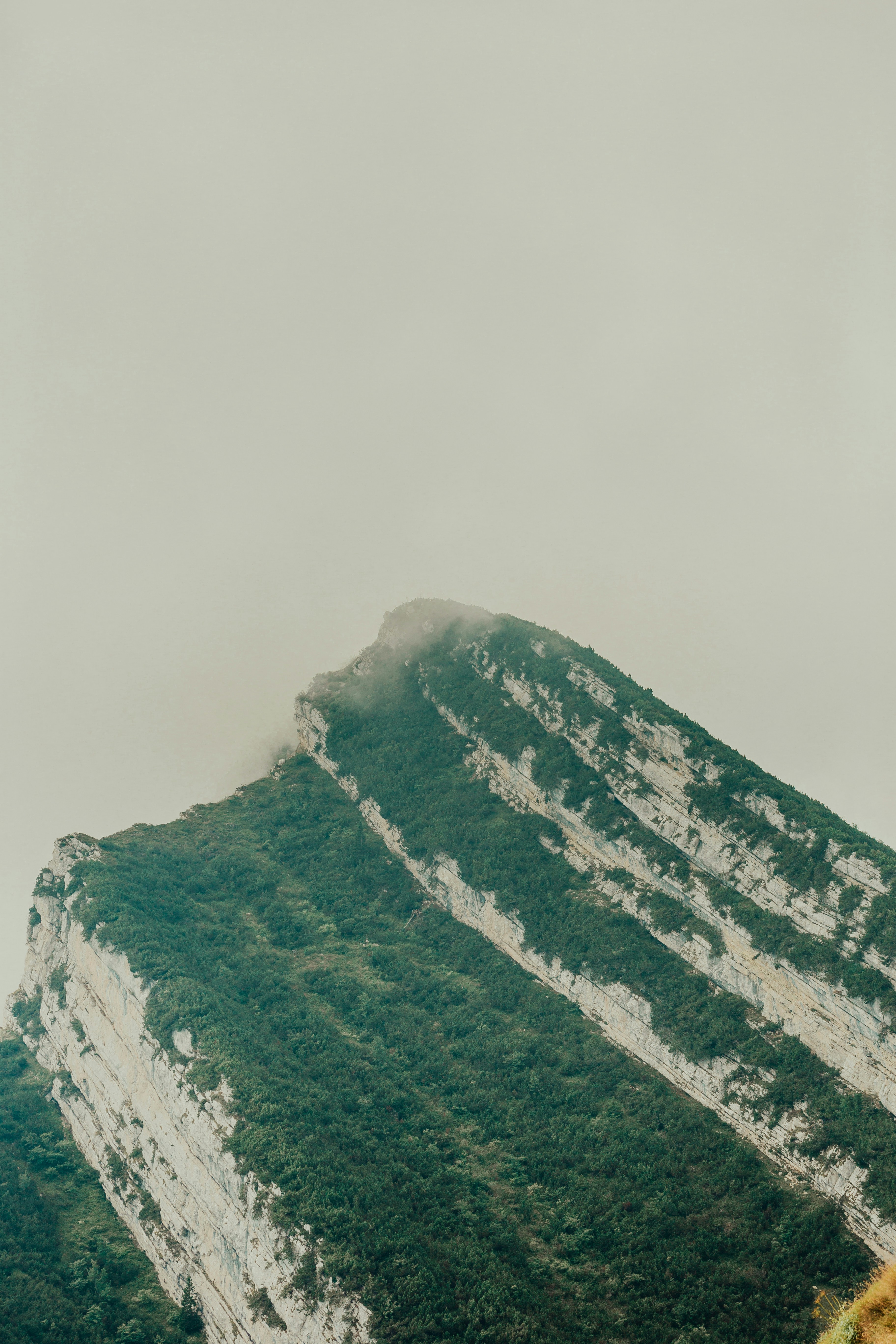 Photo by maxim_klimashin