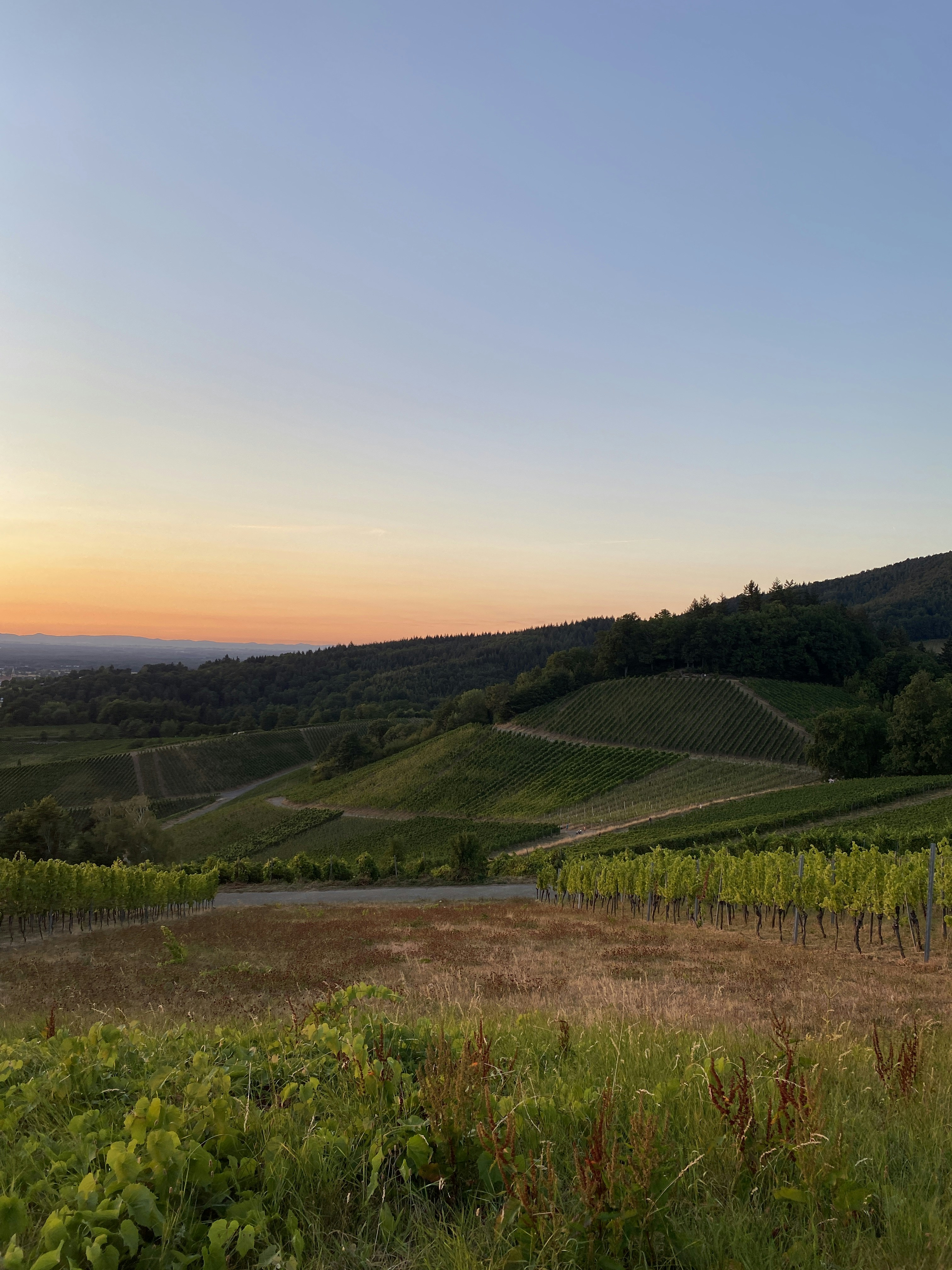 Photo by lucas_degenhardt