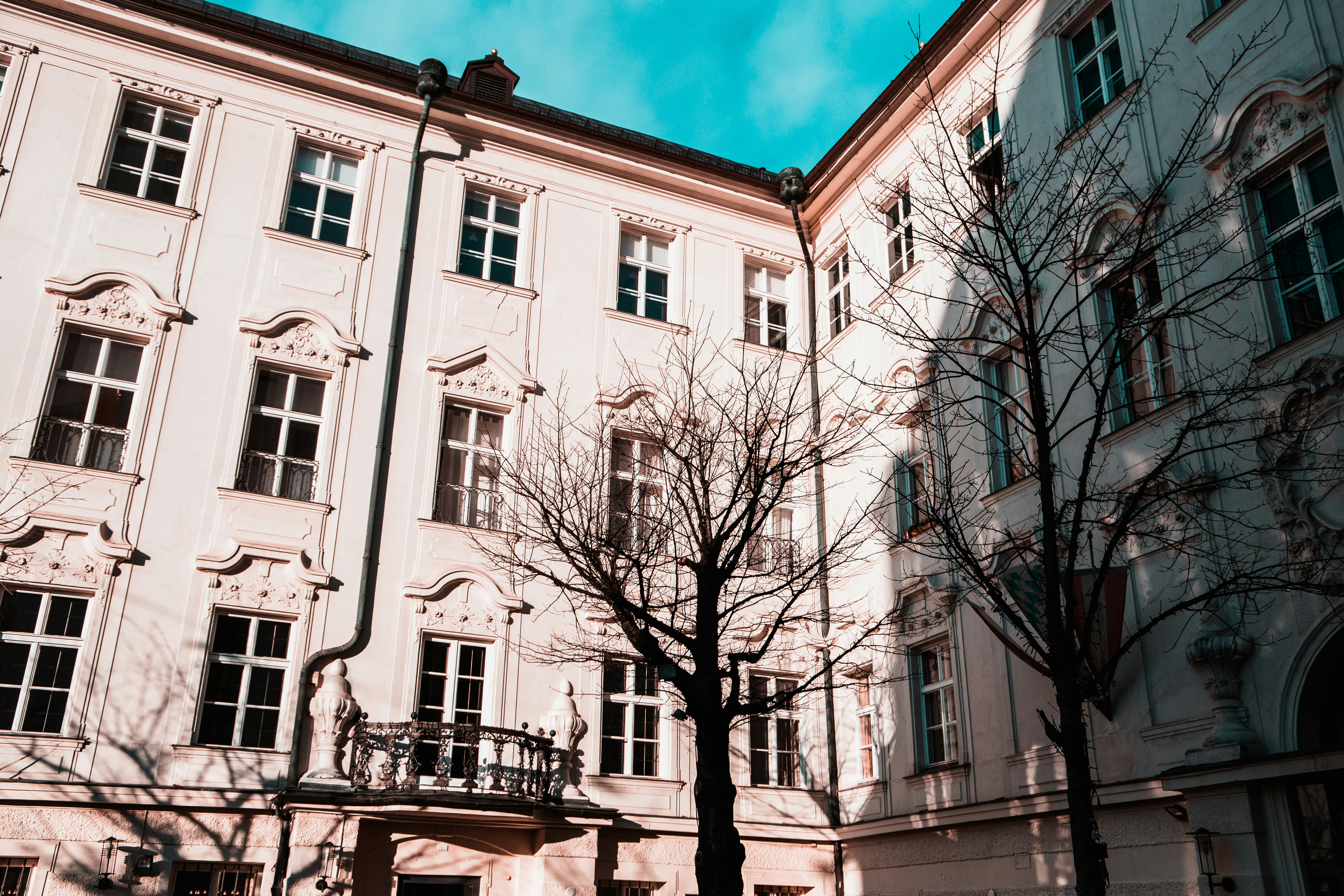 Photo by maxim_klimashin