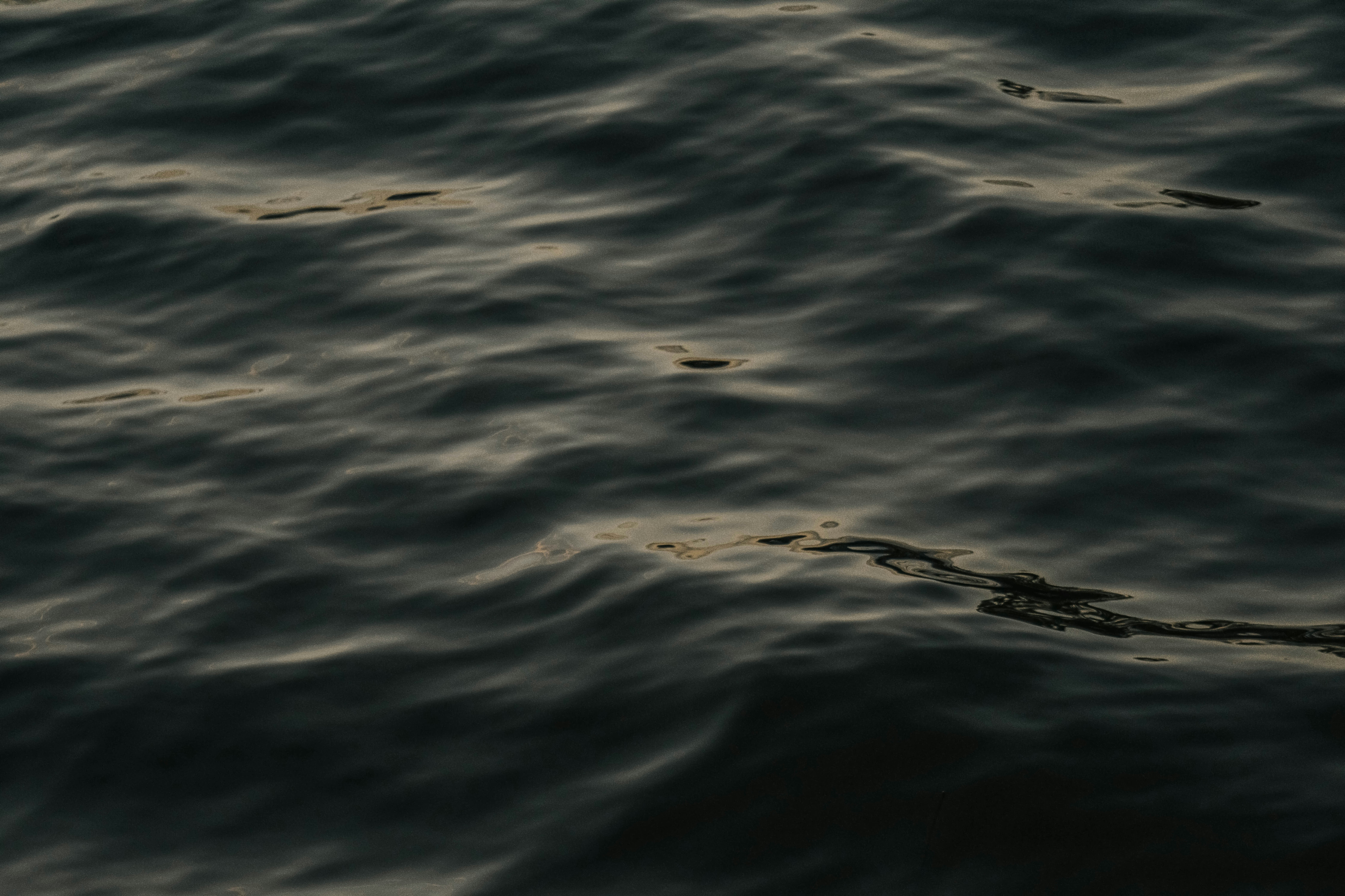 a body of water with ripples