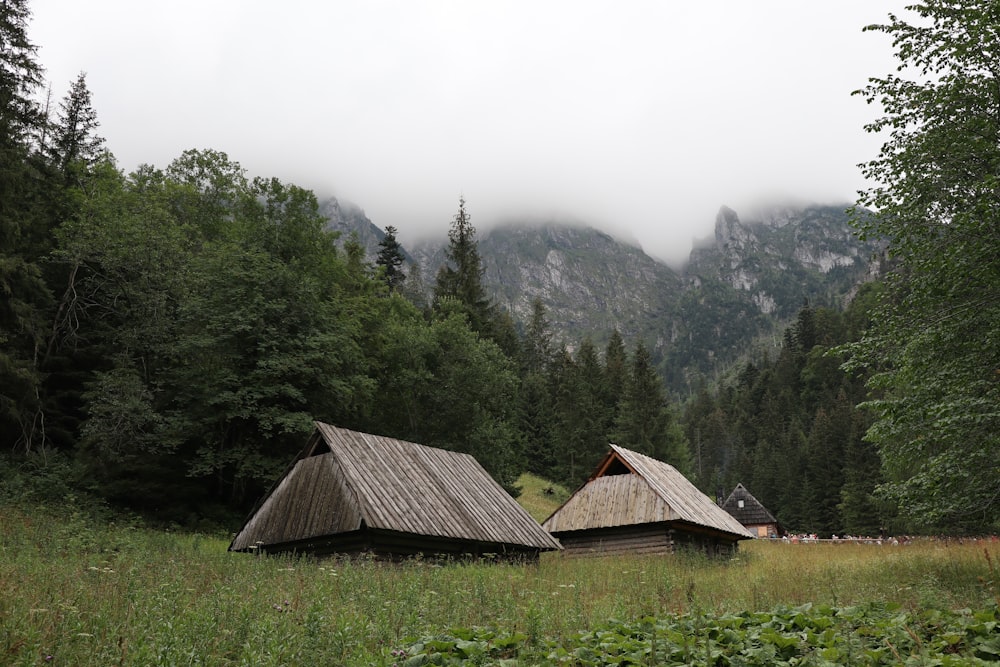 a couple of wooden buildings in a grassy field with trees and mountains in the background