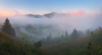 A serene valley landscape at dawn, with soft mist weaving through lush greenery symbolizing growth and insight.