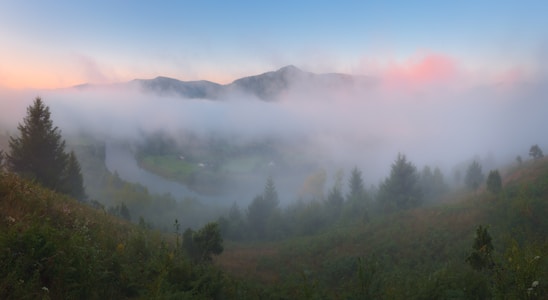 A serene valley landscape at dawn, with soft mist weaving through lush greenery symbolizing growth and insight.