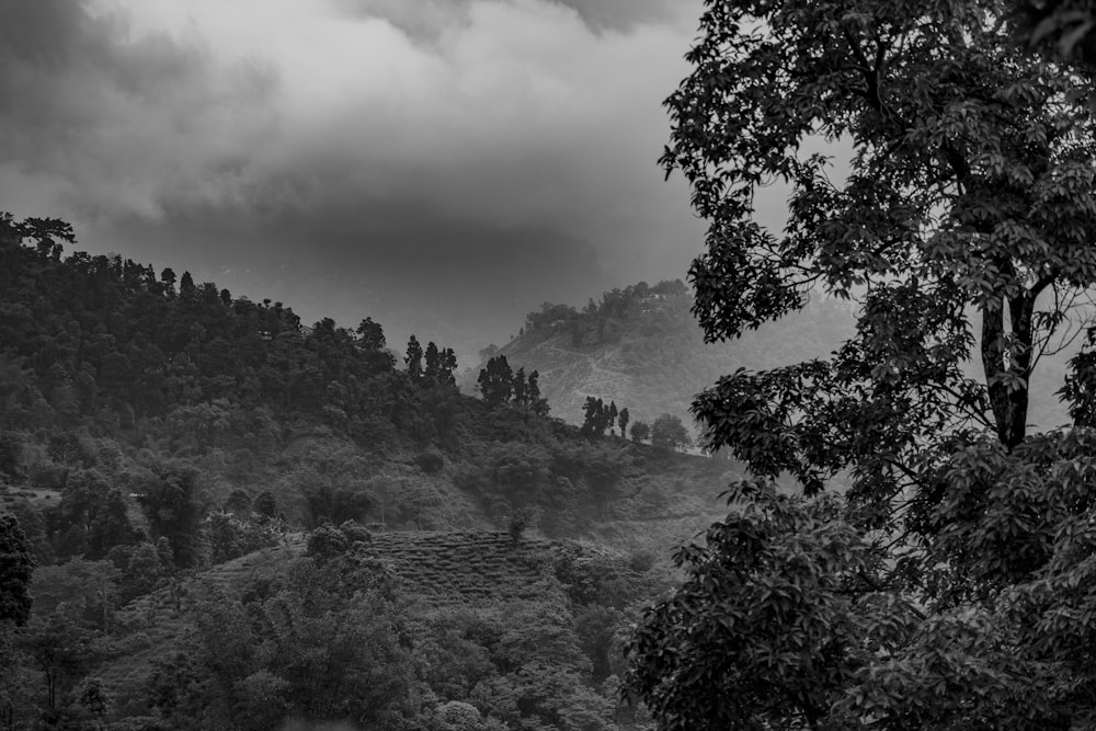 a black and white photo of a hill with trees and clouds