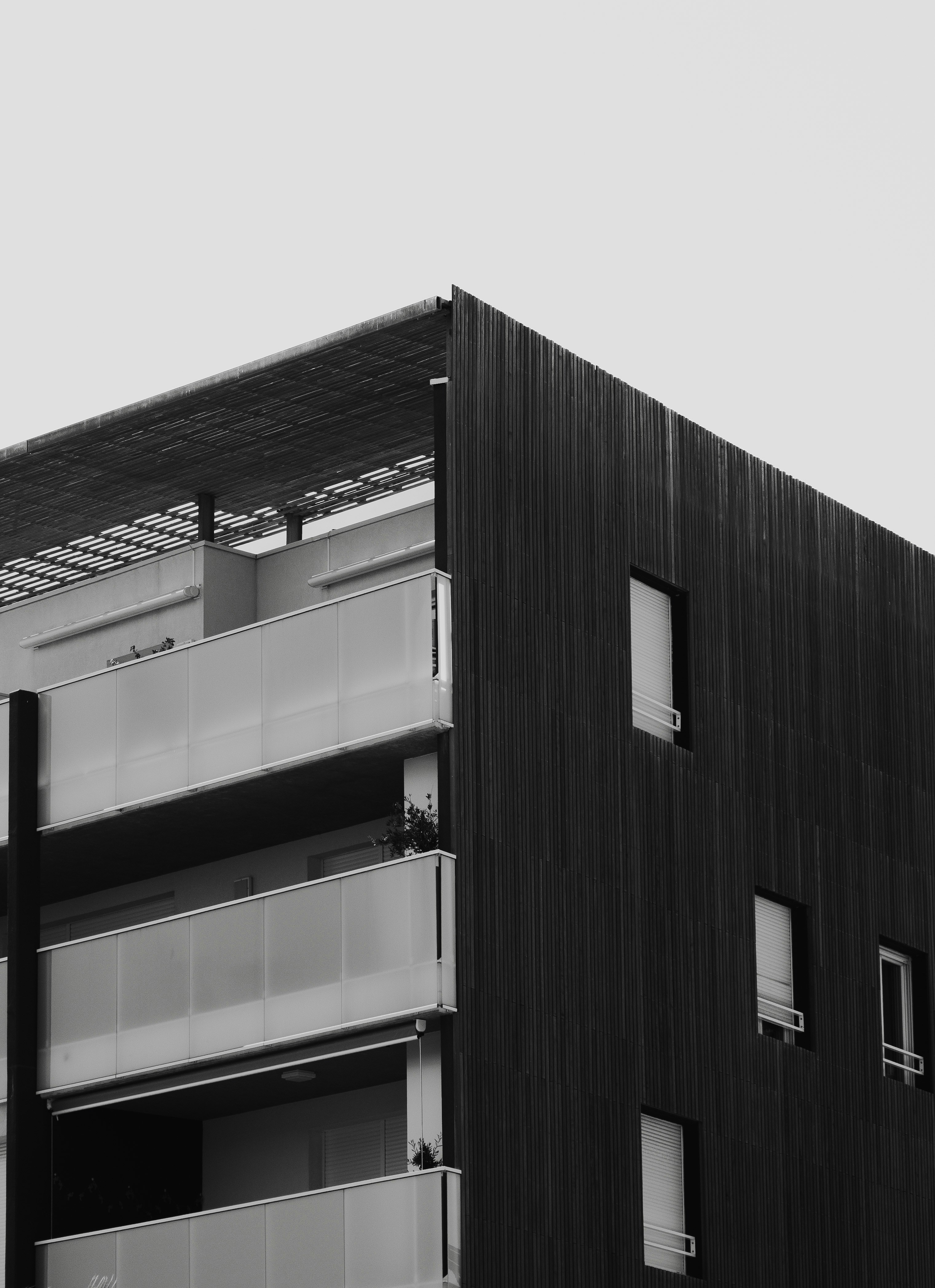 Photo by denzelbeckham