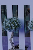 A decorative artificial tree with intricate twisted branches and lush foliage stands in front of sleek, reflective panels. The tree features a dense cluster of pale blue leaves and is complemented by the modern, stylish background.