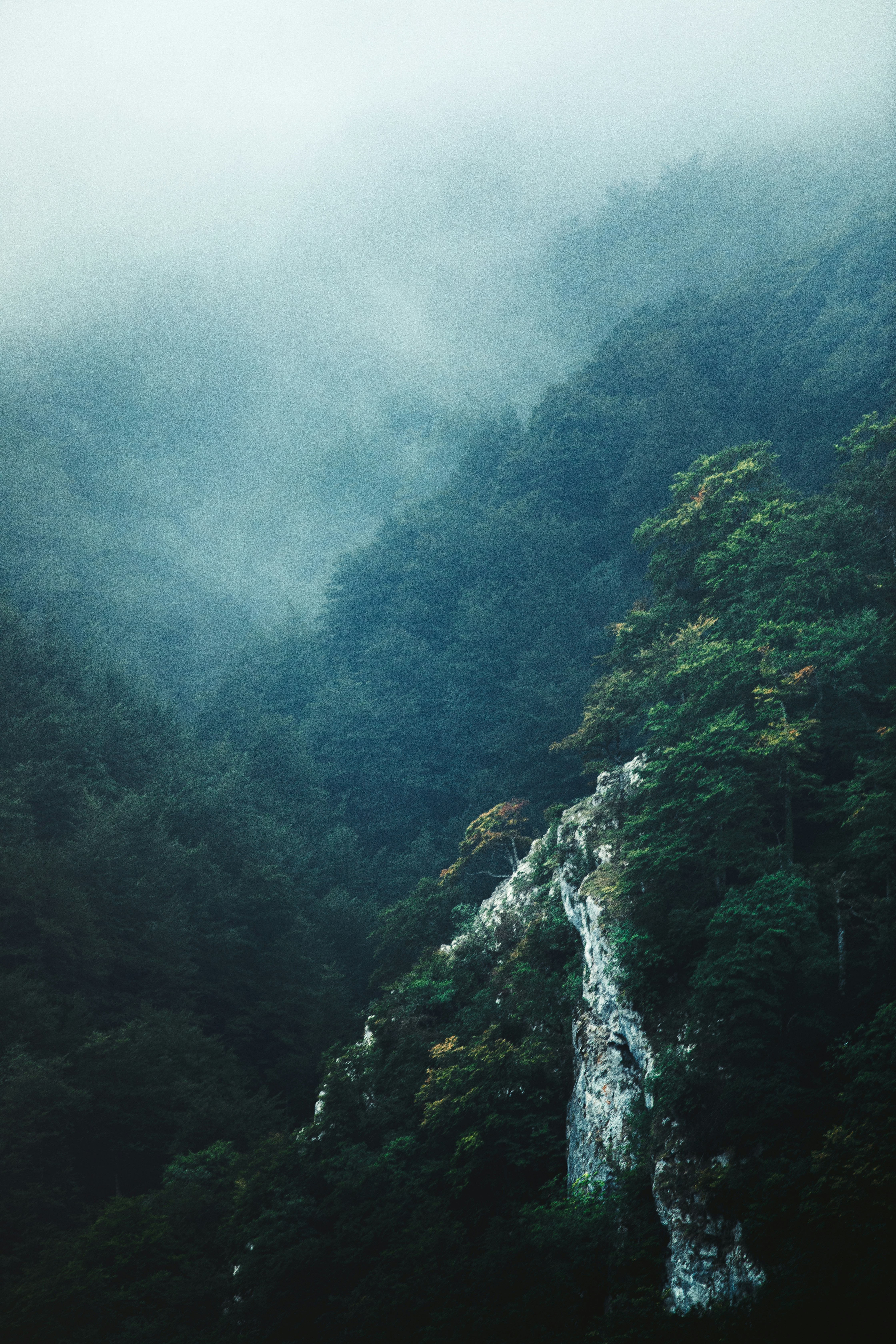 a waterfall in a forest