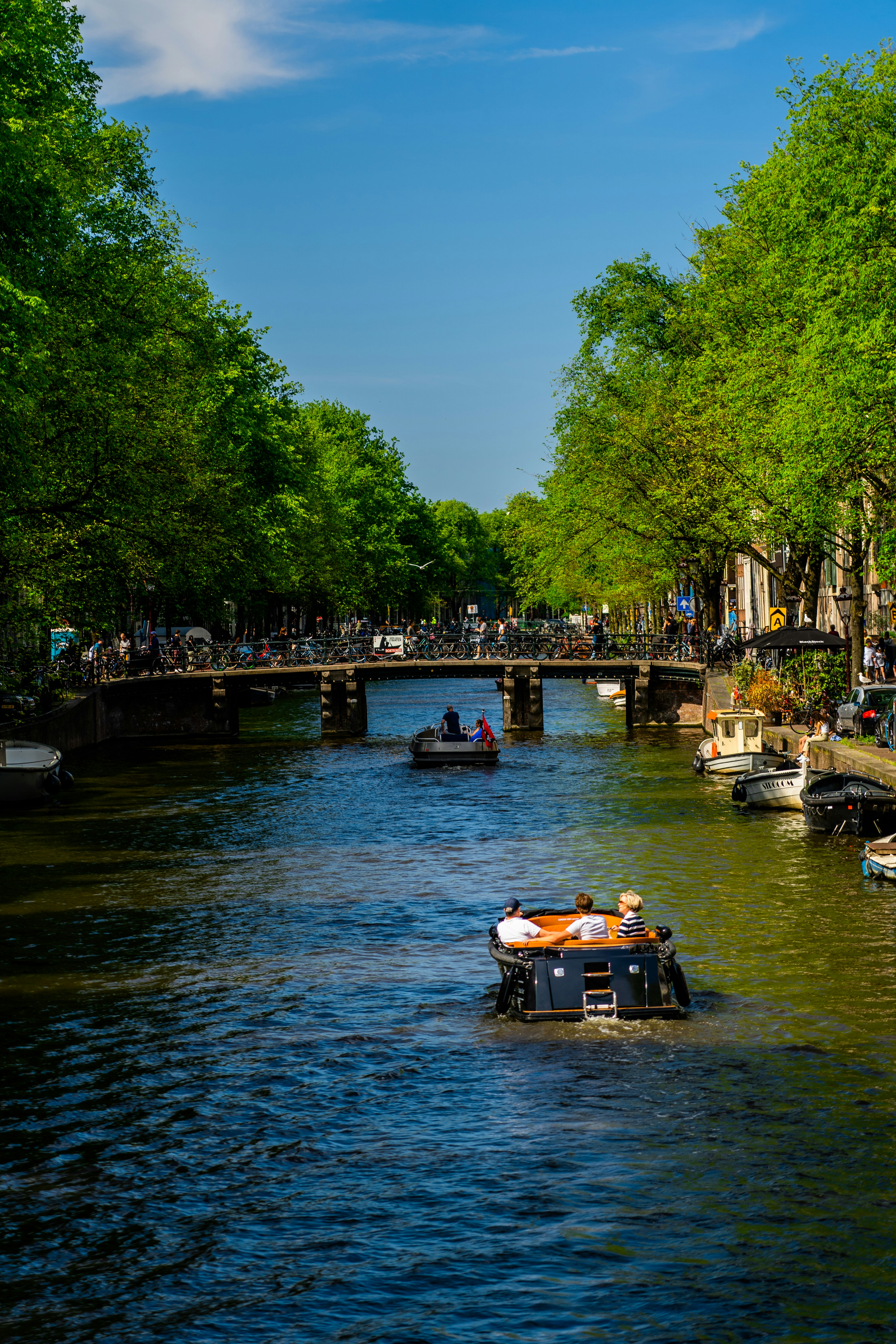 Photo by mitchelanneveldt