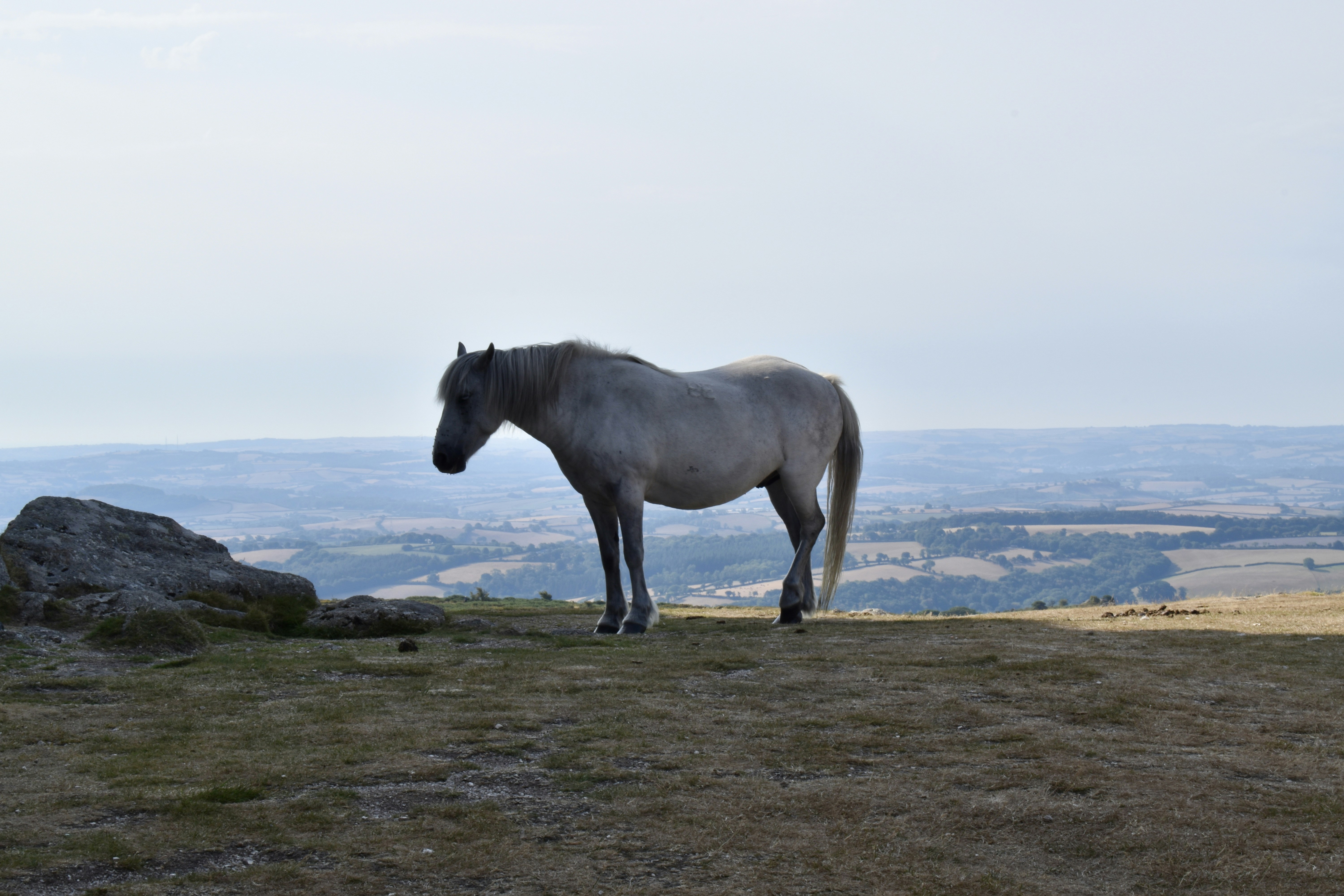 Photo by max_brindley