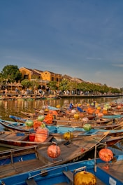 boats docked in a harbor