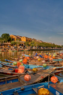 boats docked in a harbor