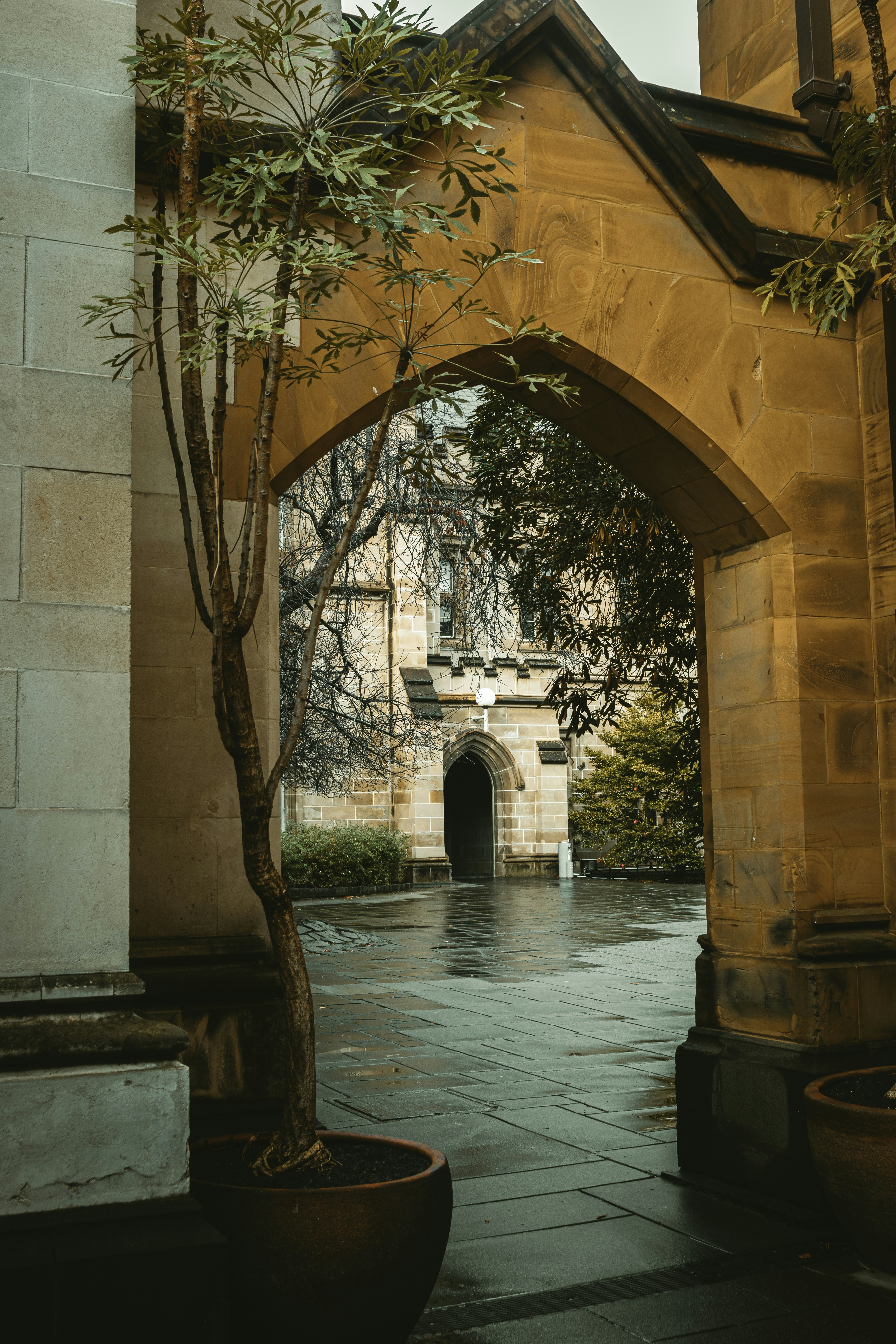 Photo by tristanluong