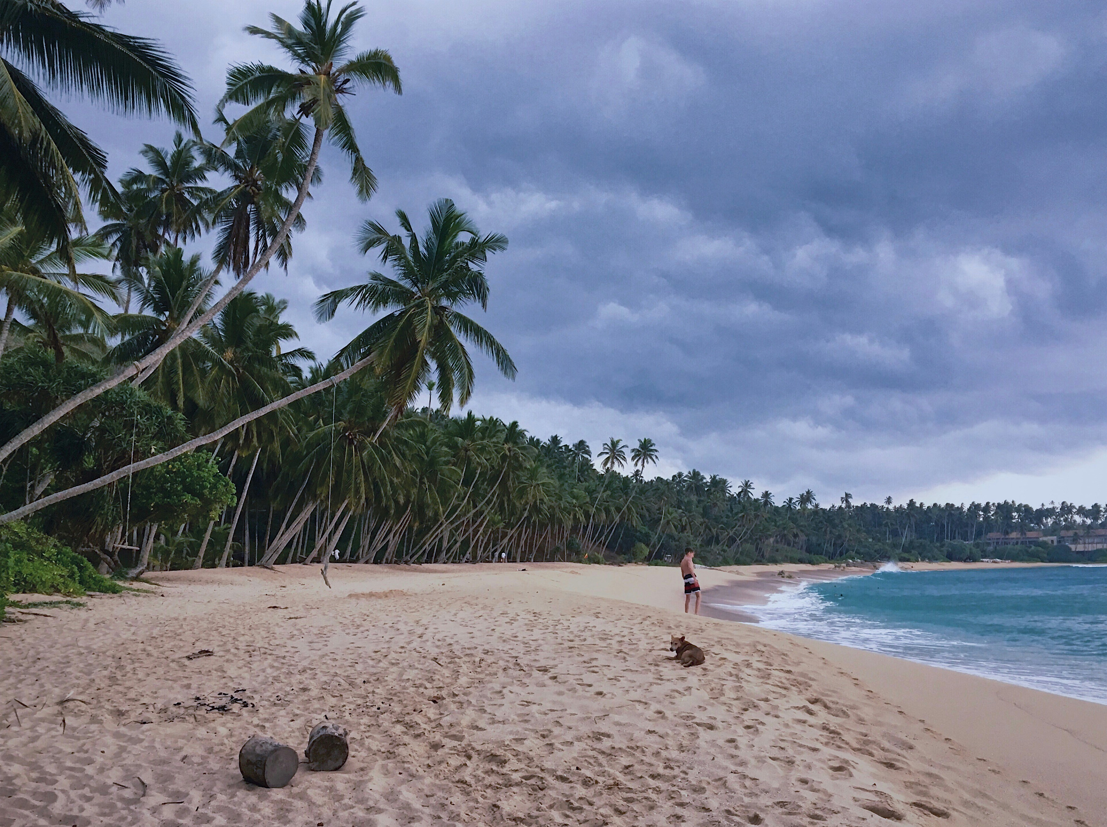 Photo by martinstastny