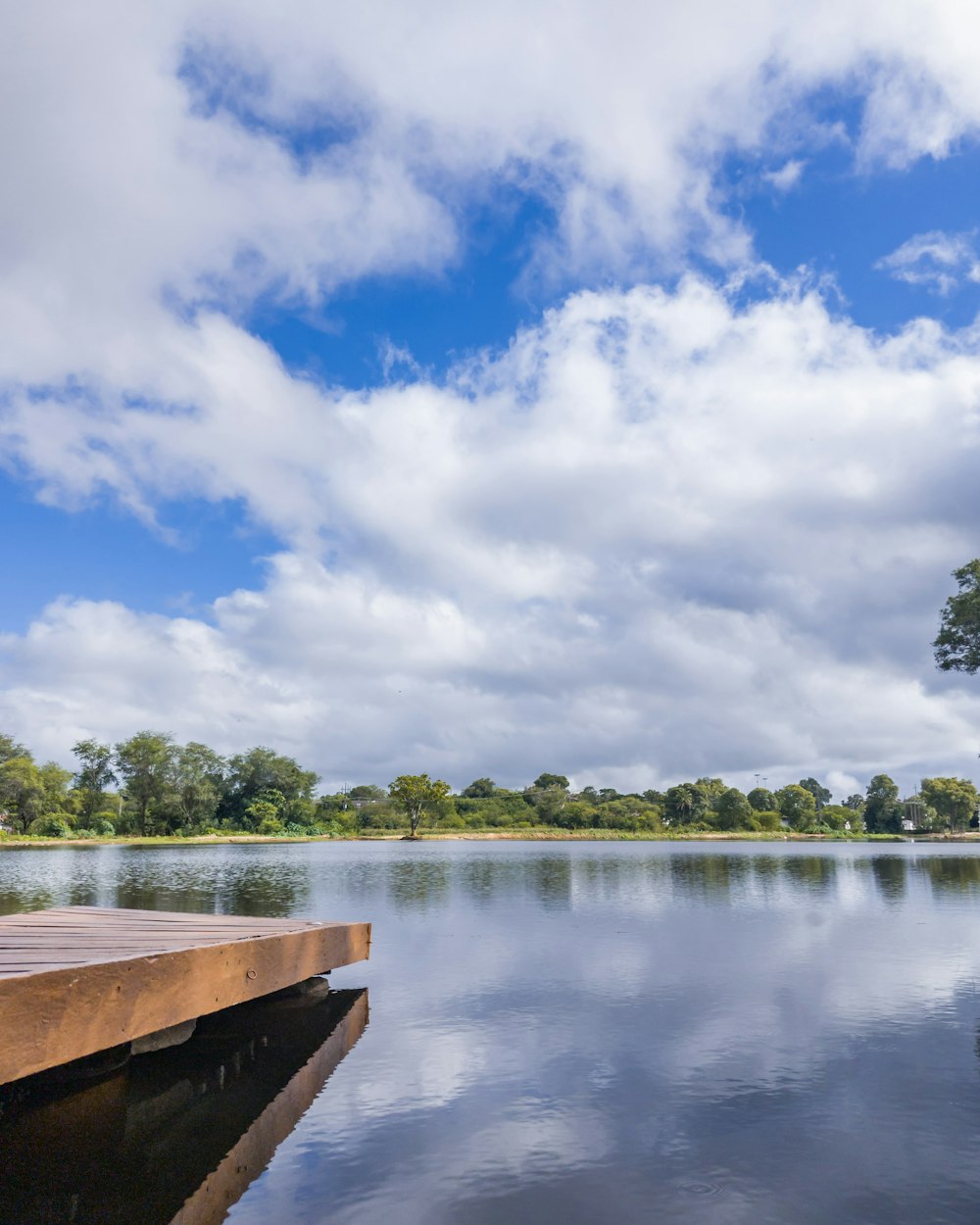 a body of water with trees and blue sky above